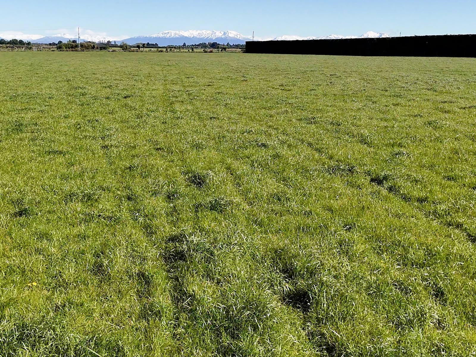 439 Dawsons Road, Ashburton