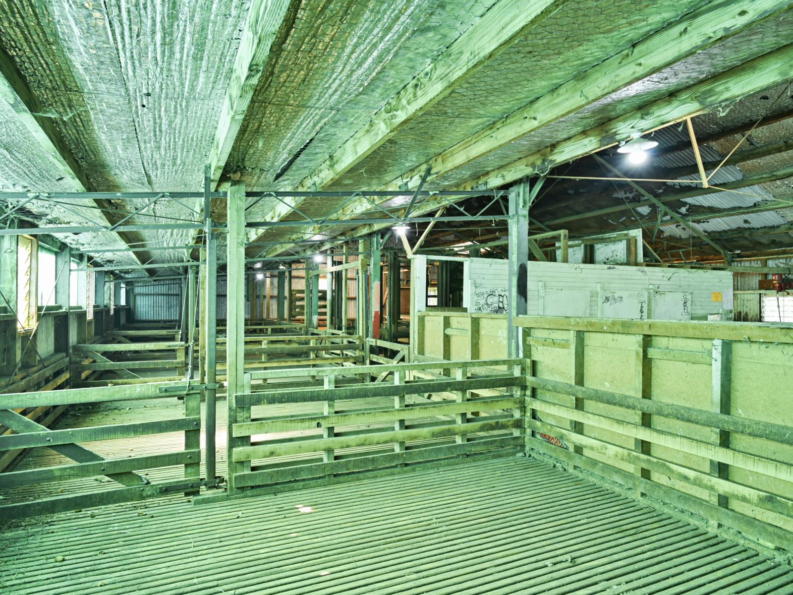 Lot 4 Old Coach Road, Te Pohue