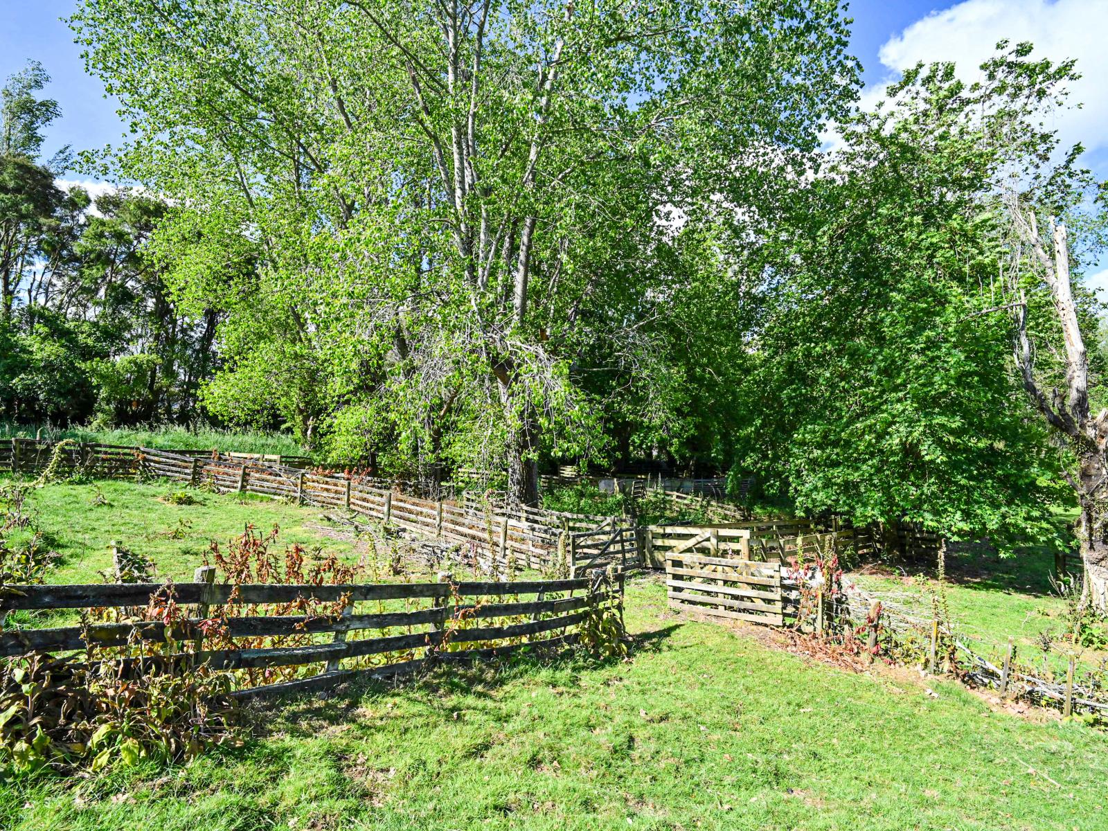 Lot 4 Old Coach Road, Te Pohue