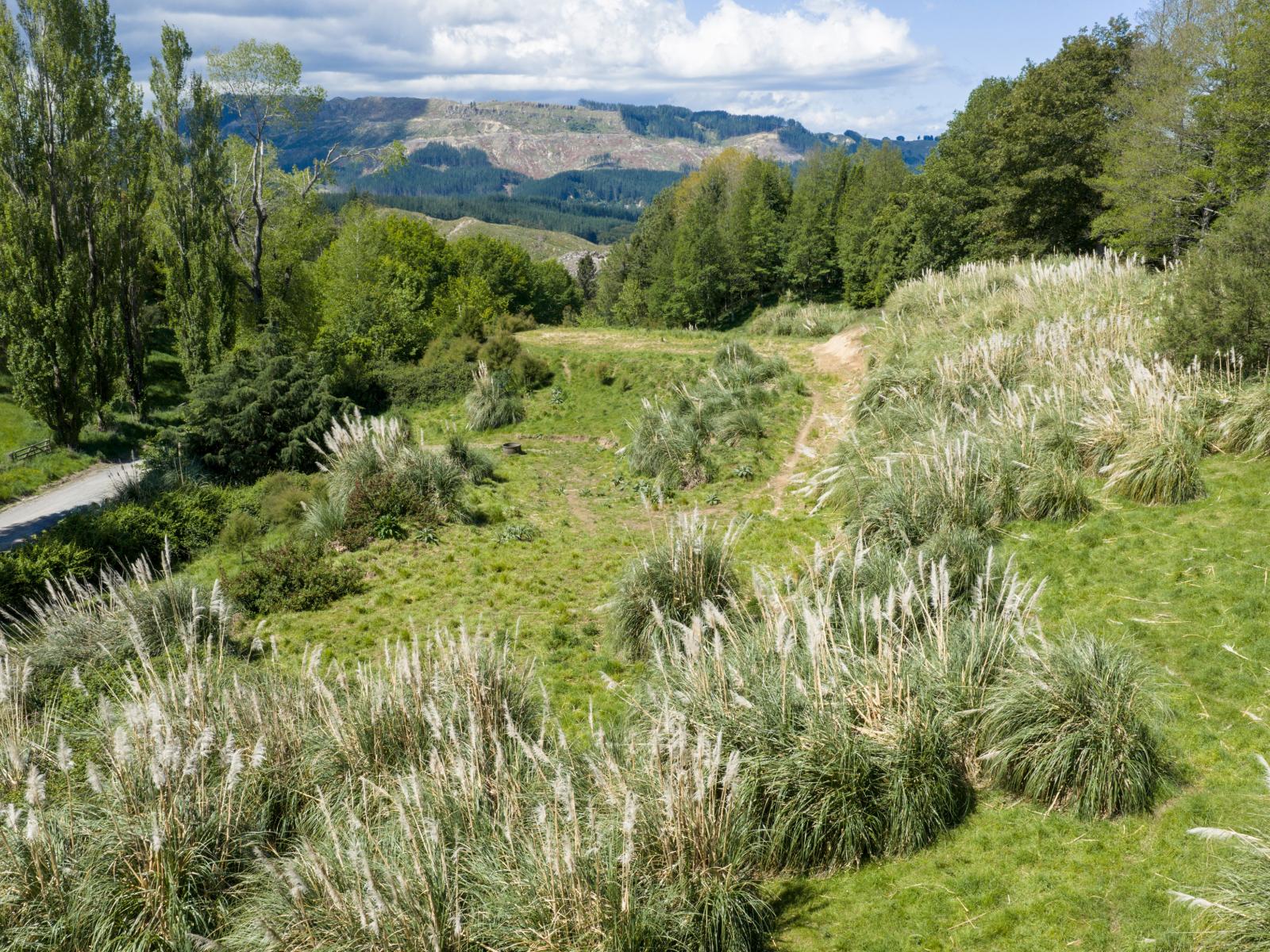 Lot 3 Old Coach Road, Te Pohue