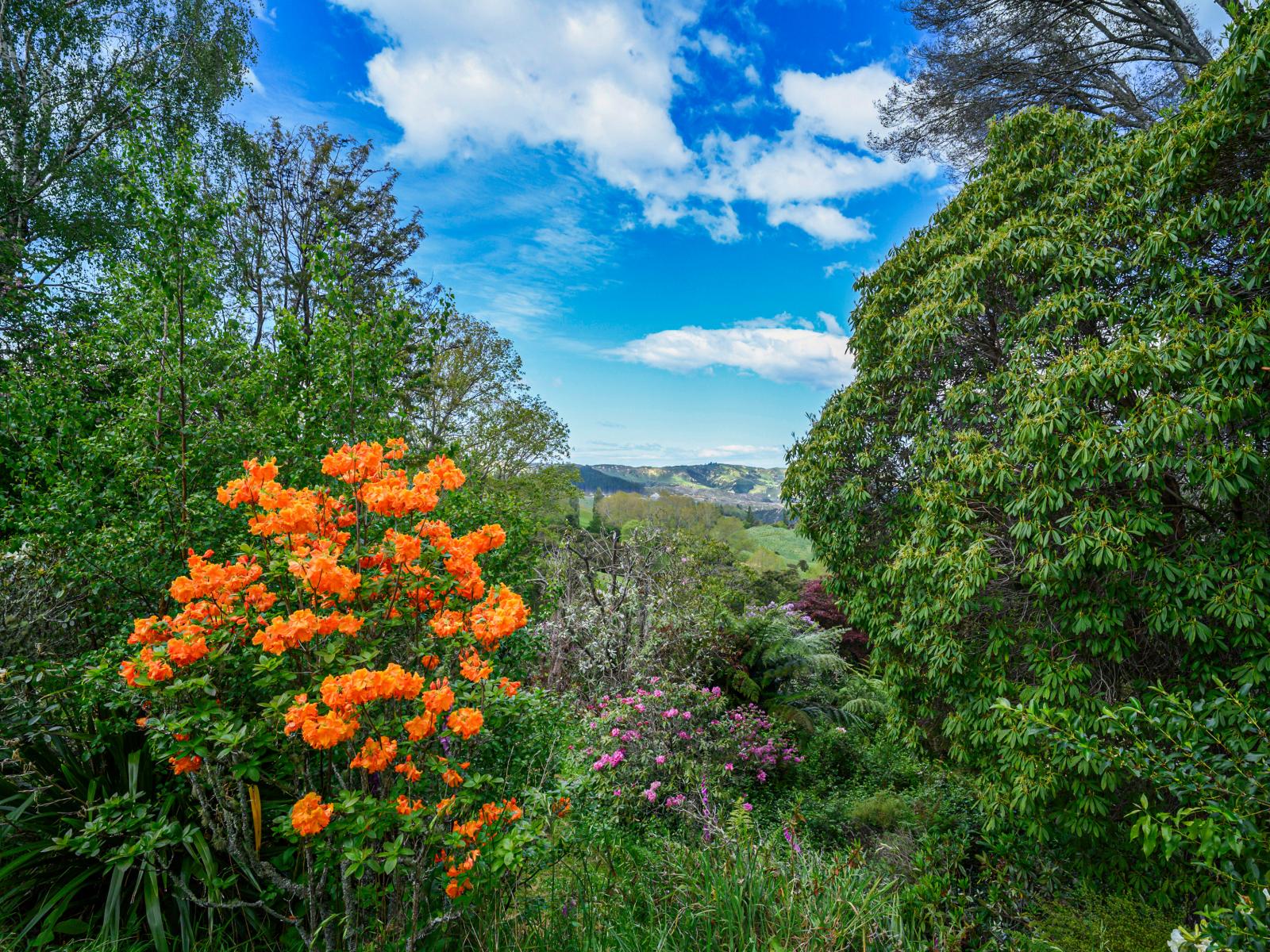 558 Old Coach Road, Te Pohue