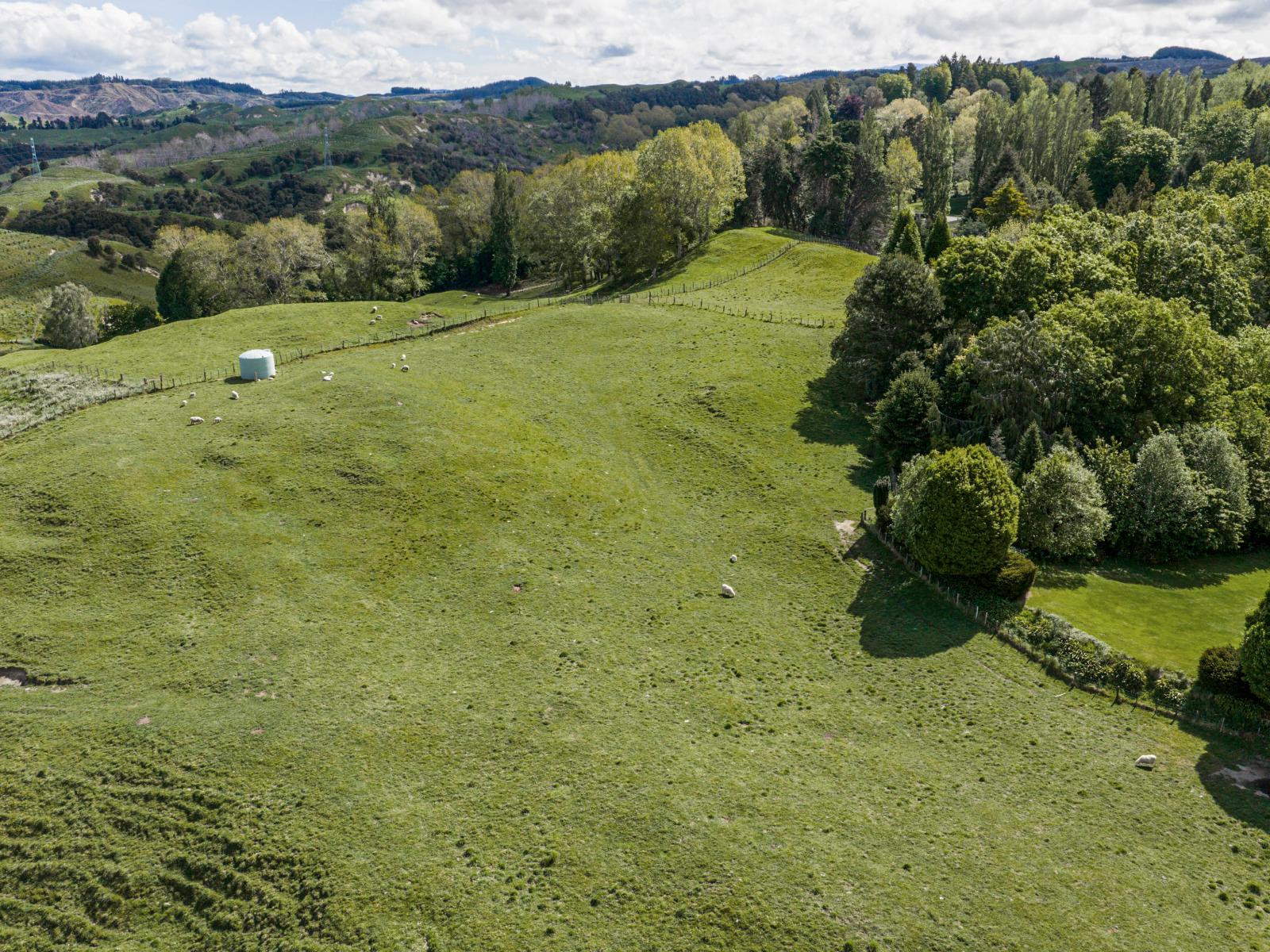 558 Old Coach Road, Te Pohue