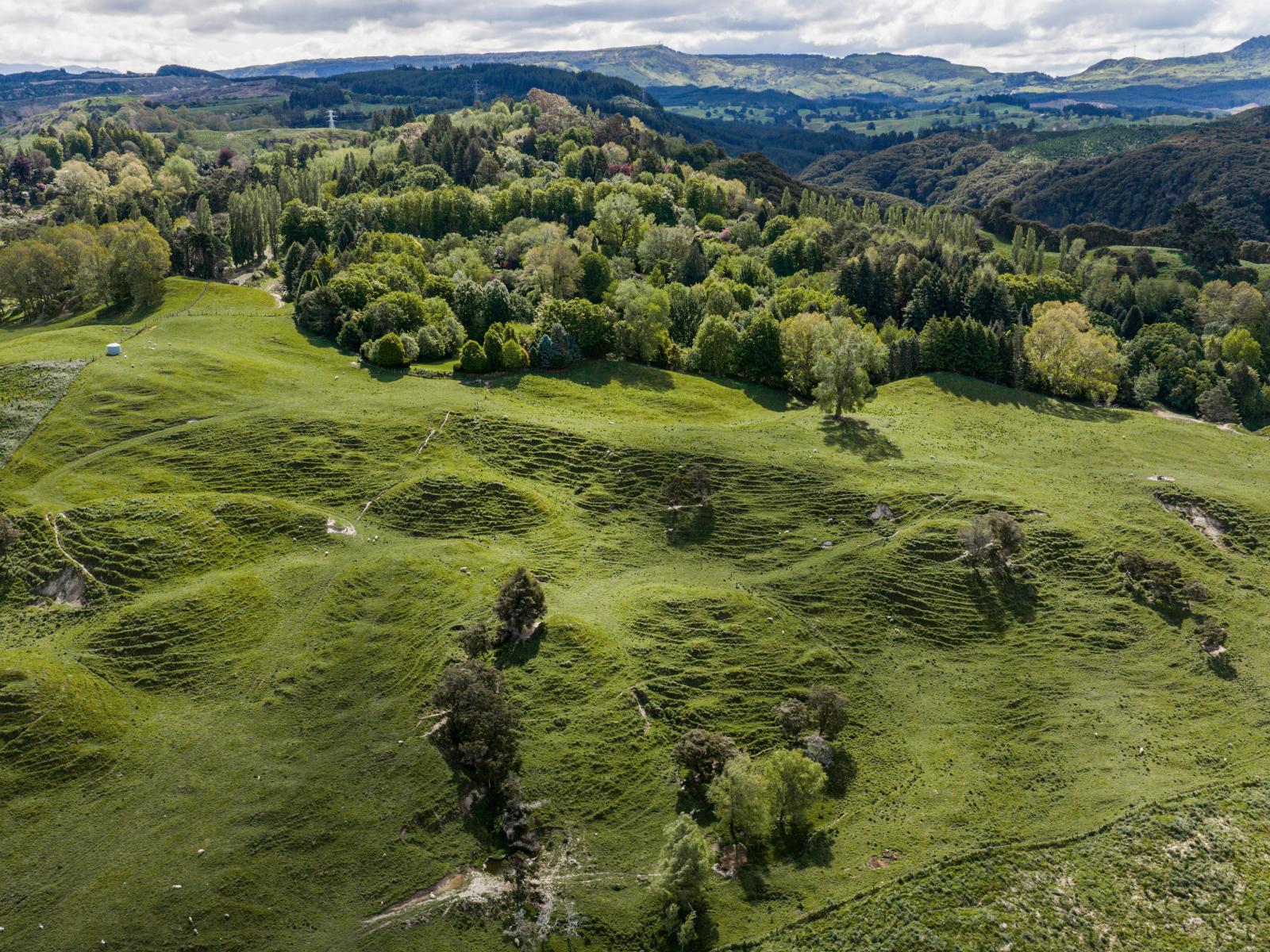 558 Old Coach Road, Te Pohue