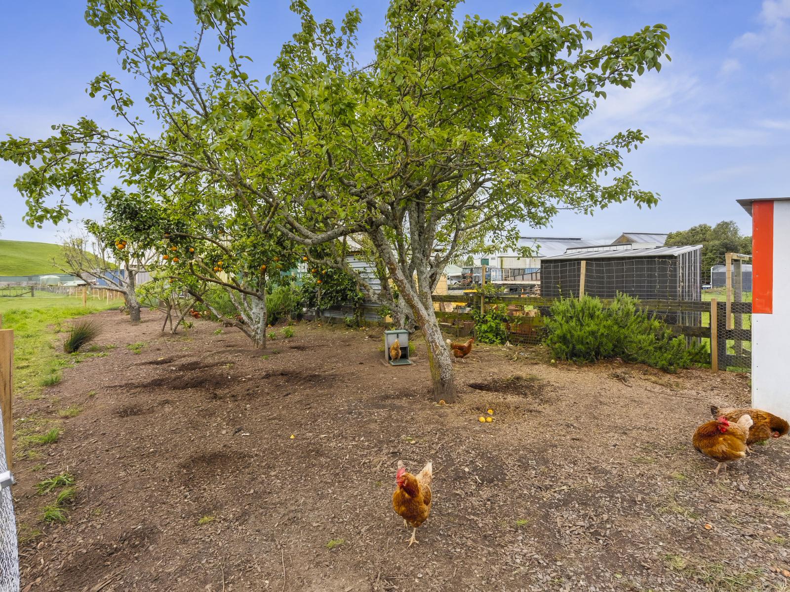 812 Roto O Rangi Road, Cambridge