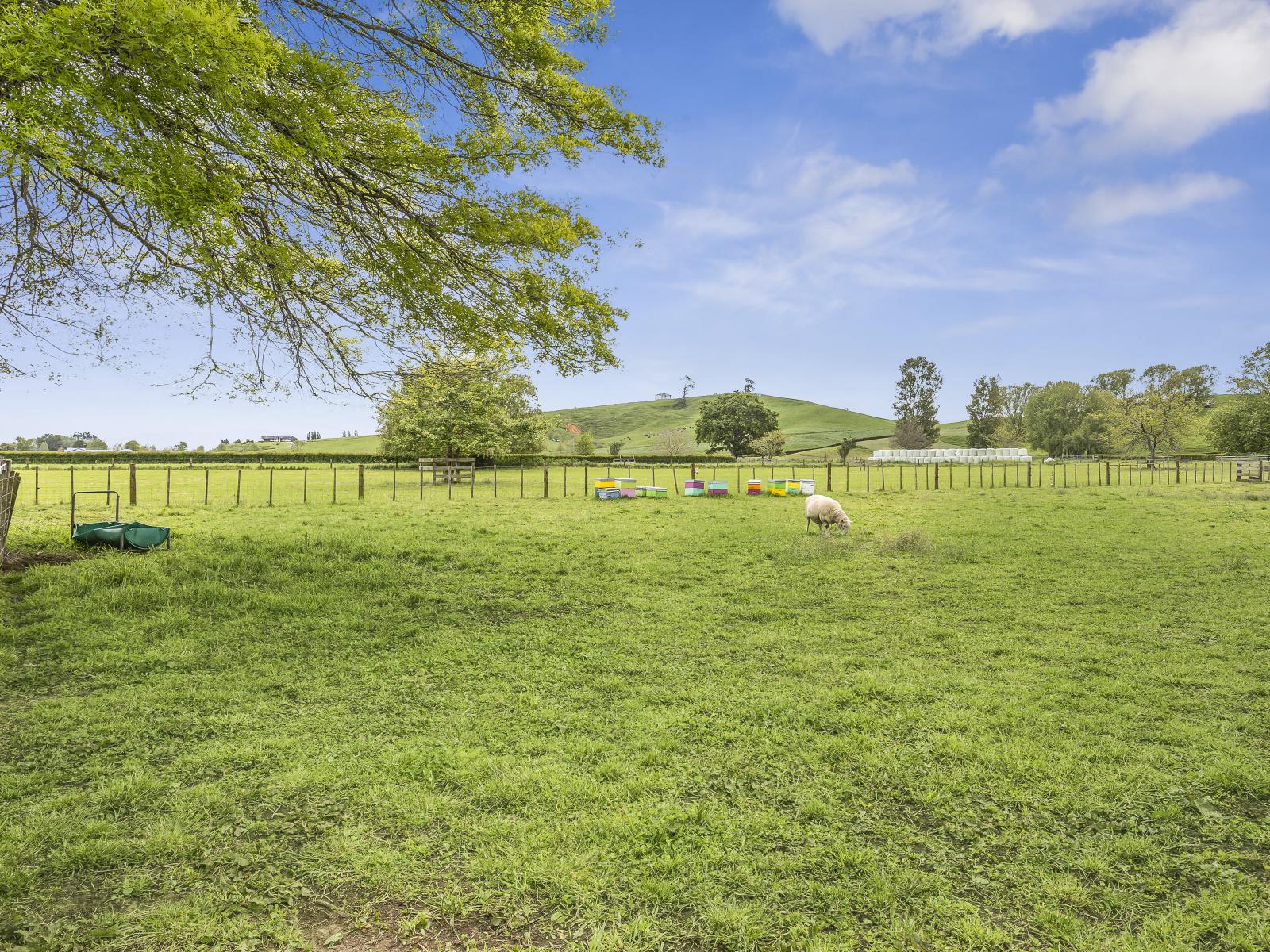 812 Roto O Rangi Road, Cambridge