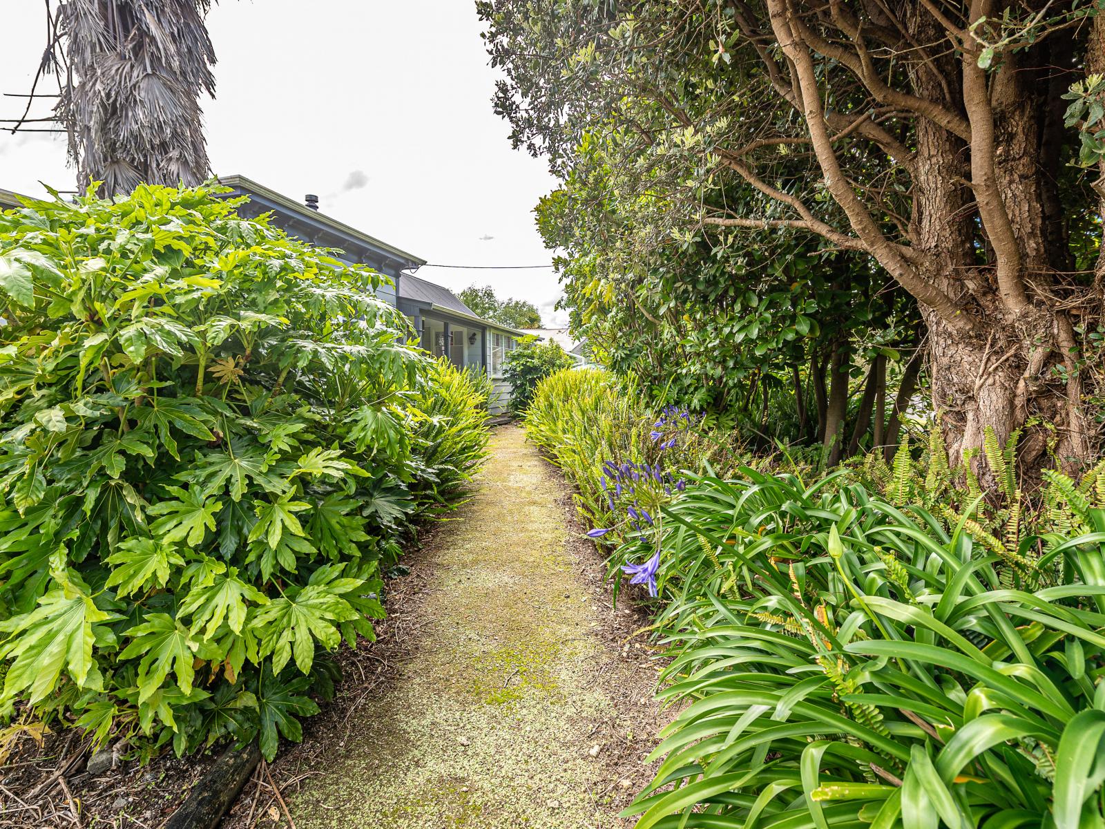 36 Ihupuku Street, Waitotara