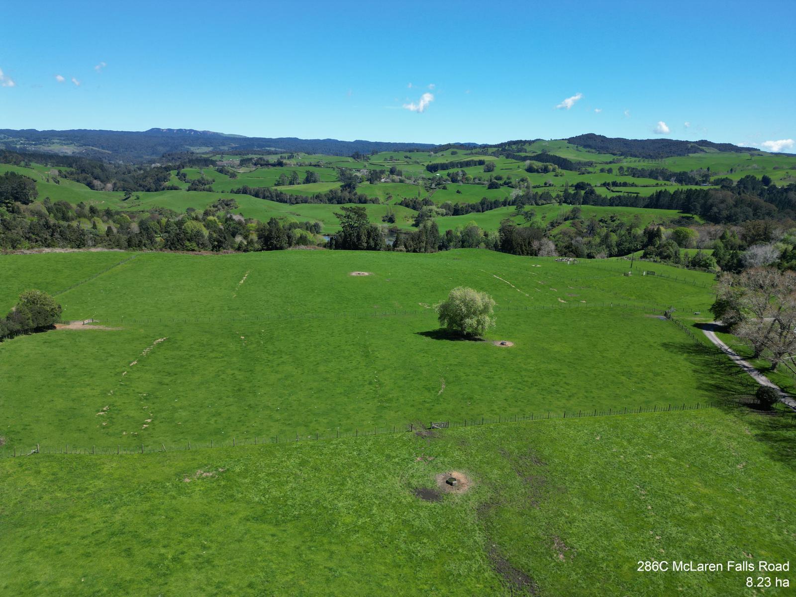 McLaren Falls Road, Omanawa