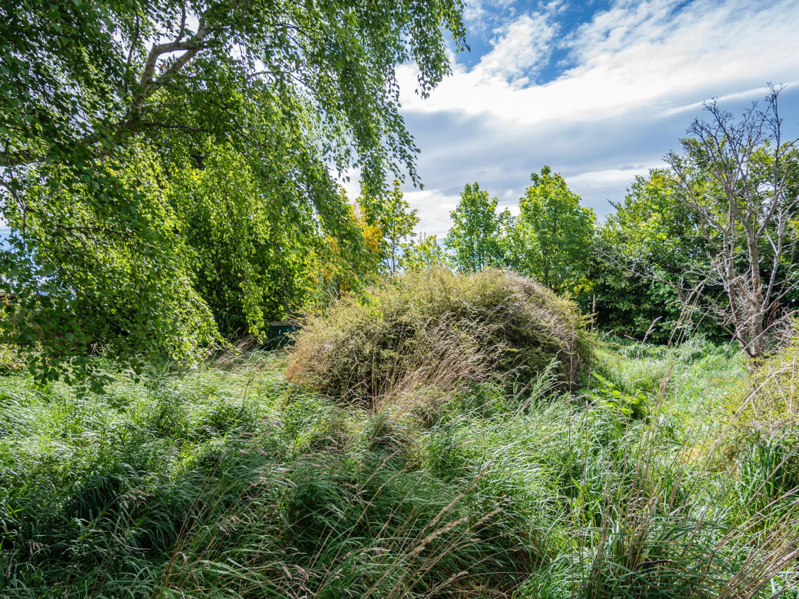 10 Edward Street, Waimate
