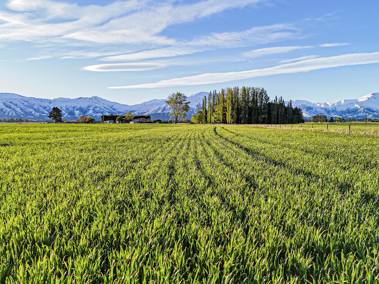 391 Hamilton Road, Fairlie