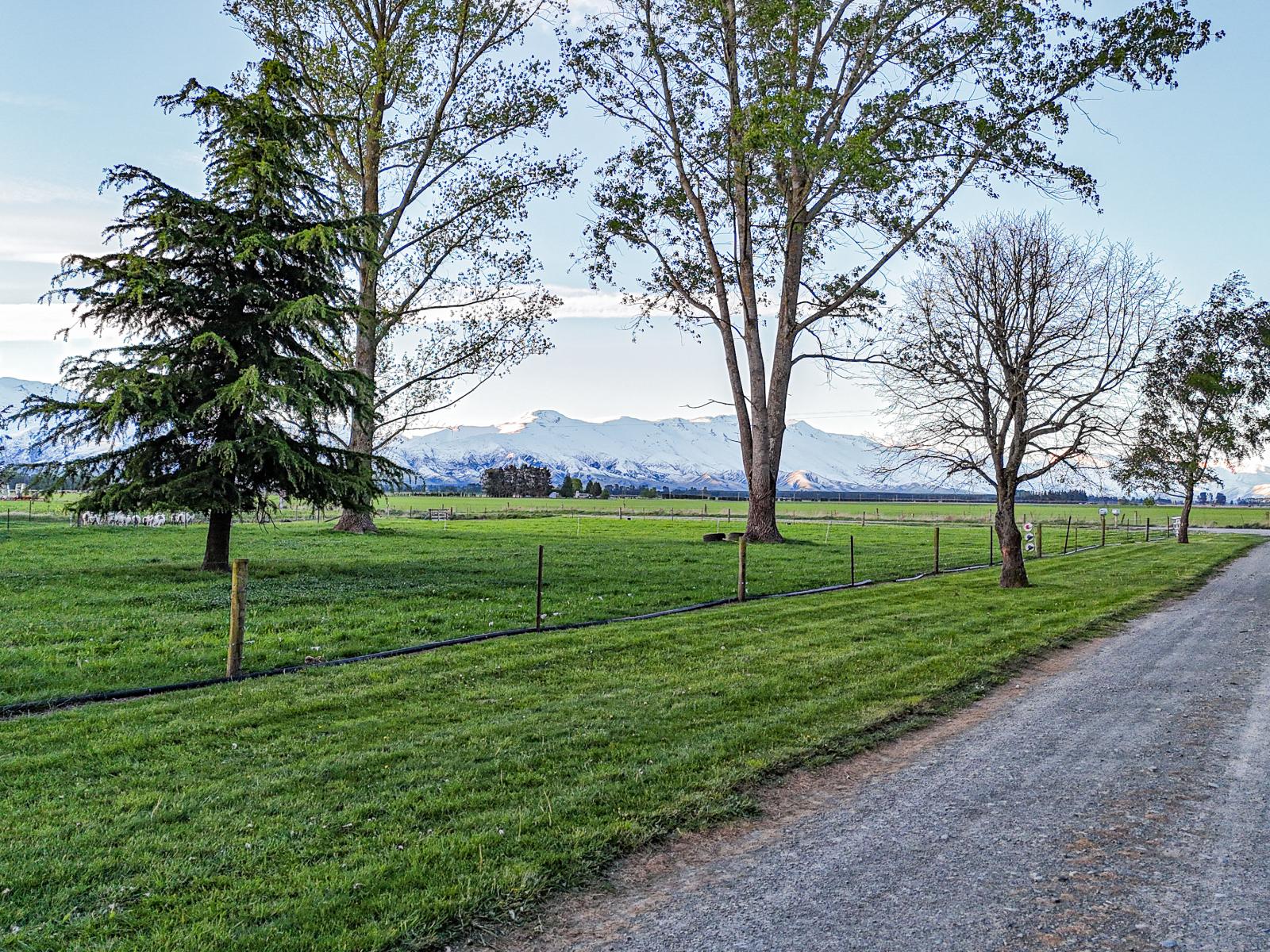 391 Hamilton Road, Fairlie