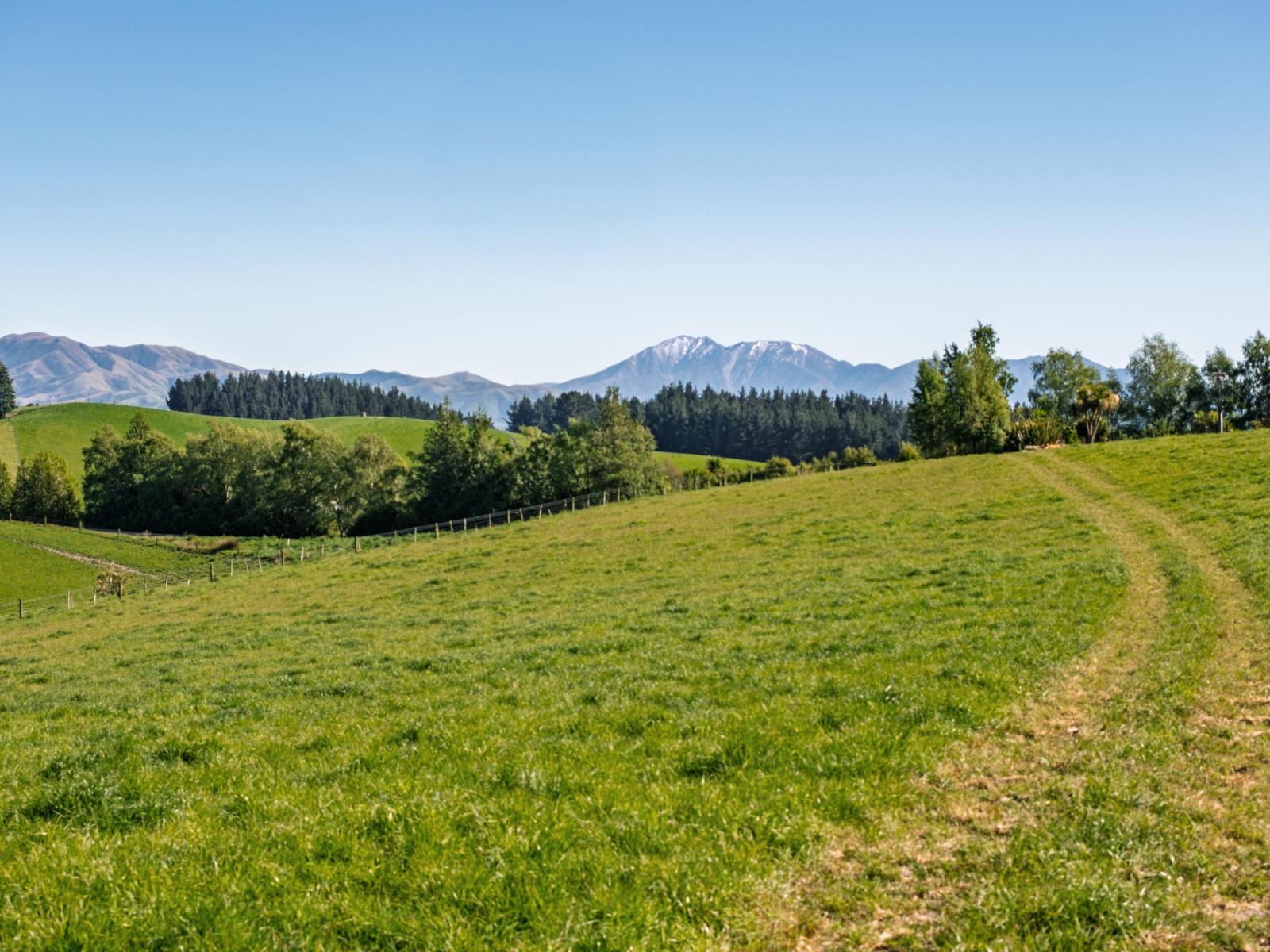 285 Greenvale Road, Geraldine