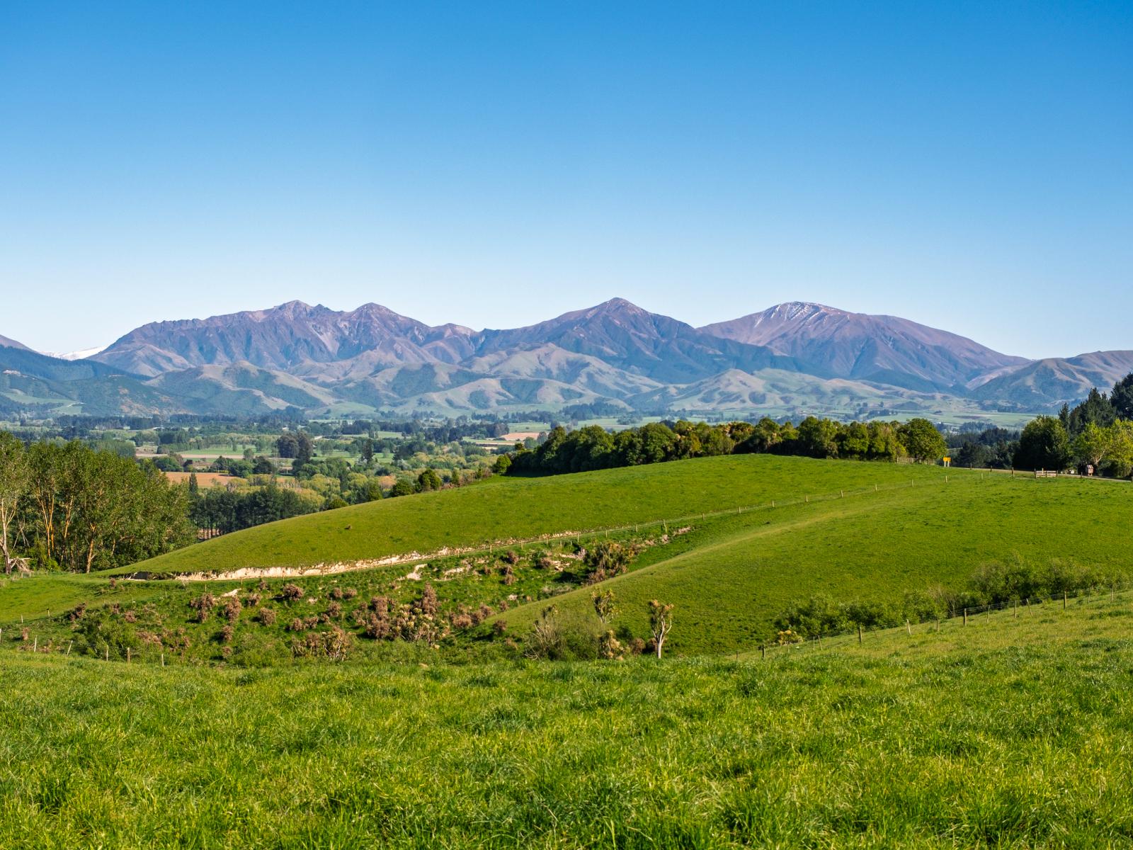 285 Greenvale Road, Geraldine