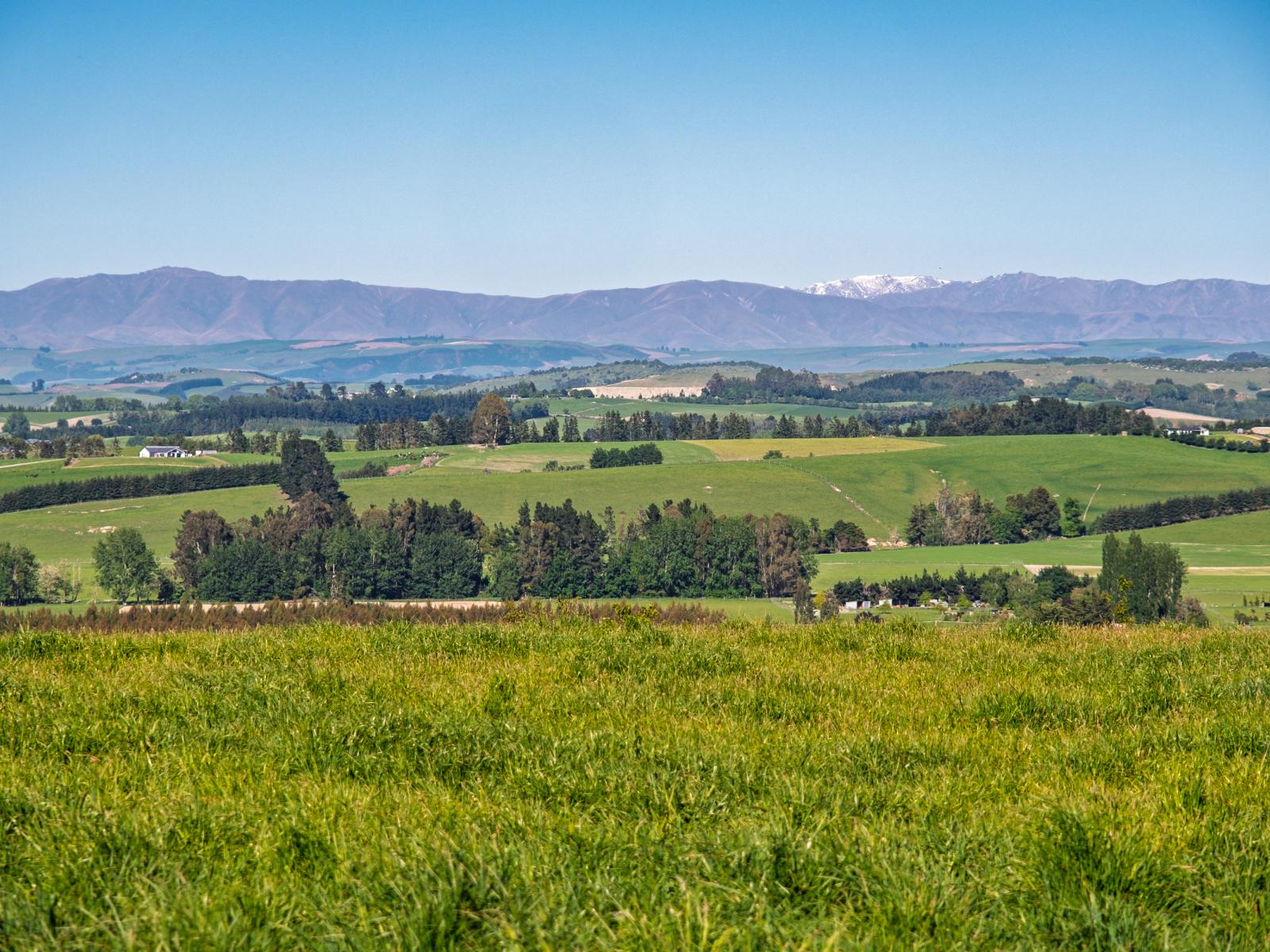 285 Greenvale Road, Geraldine