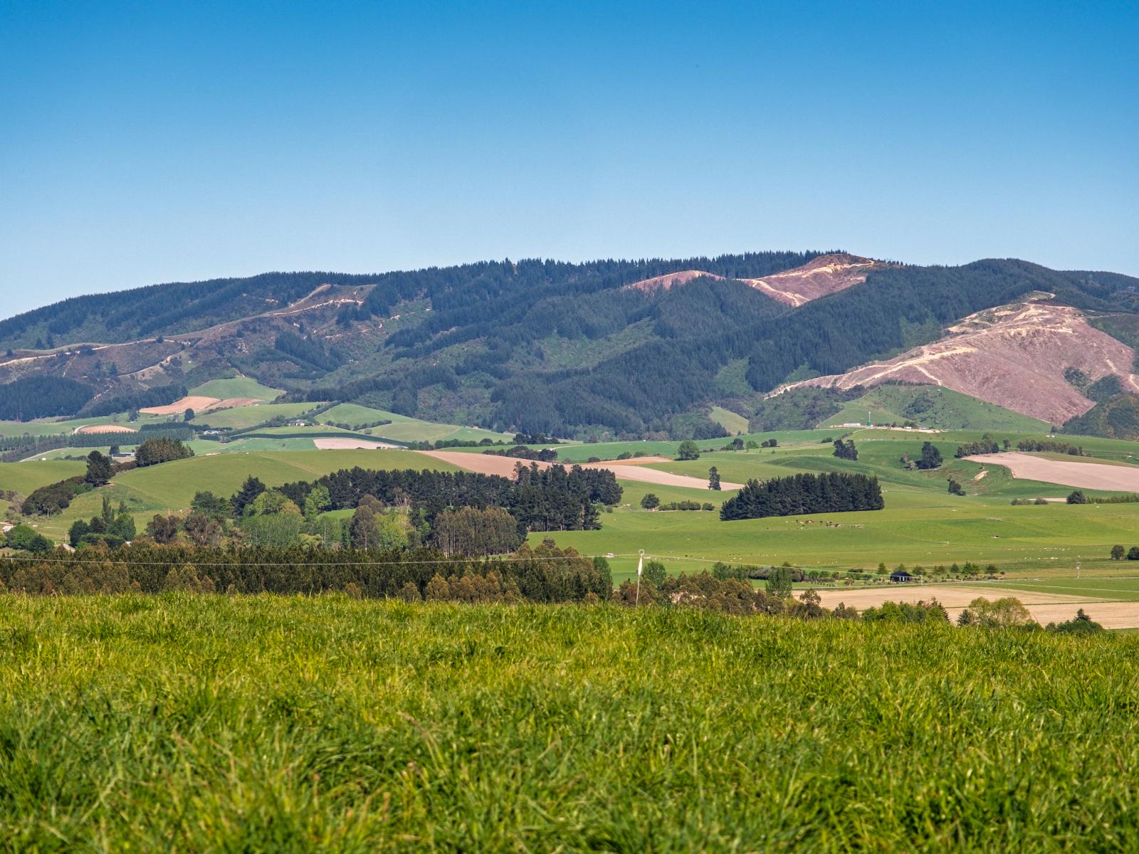 285 Greenvale Road, Geraldine