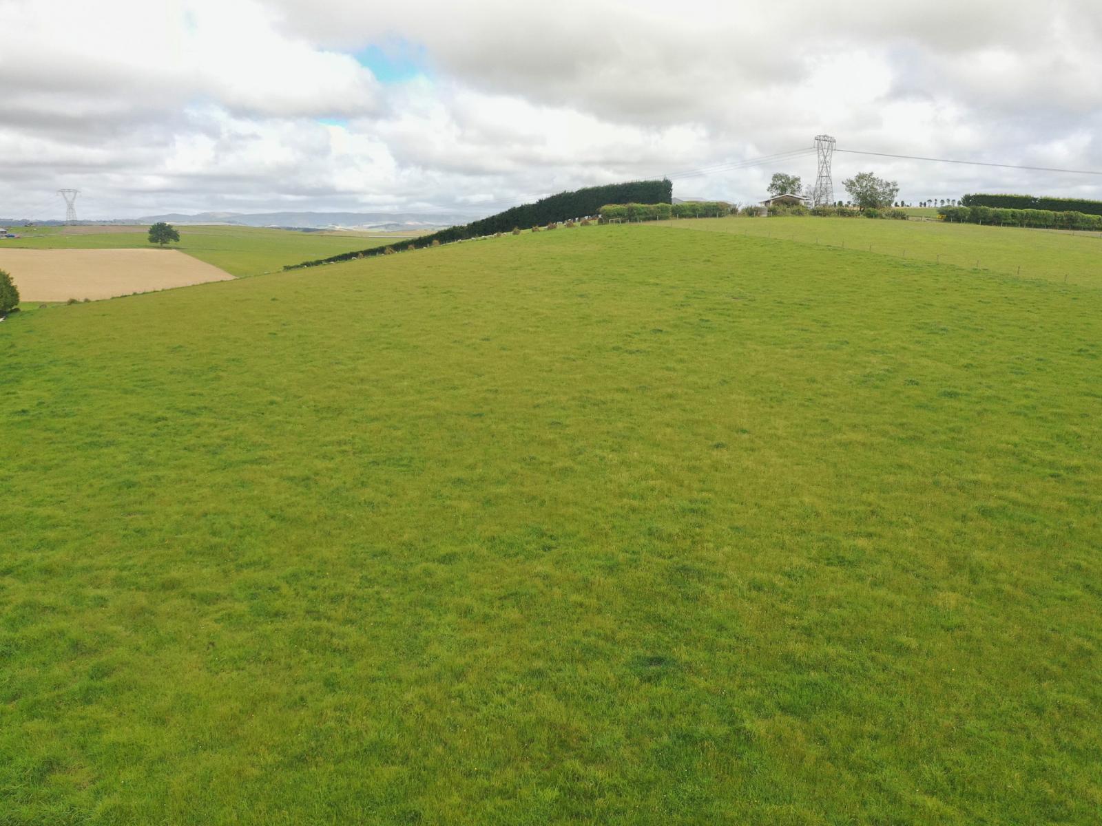 132 Driscoll Road, Levels Valley