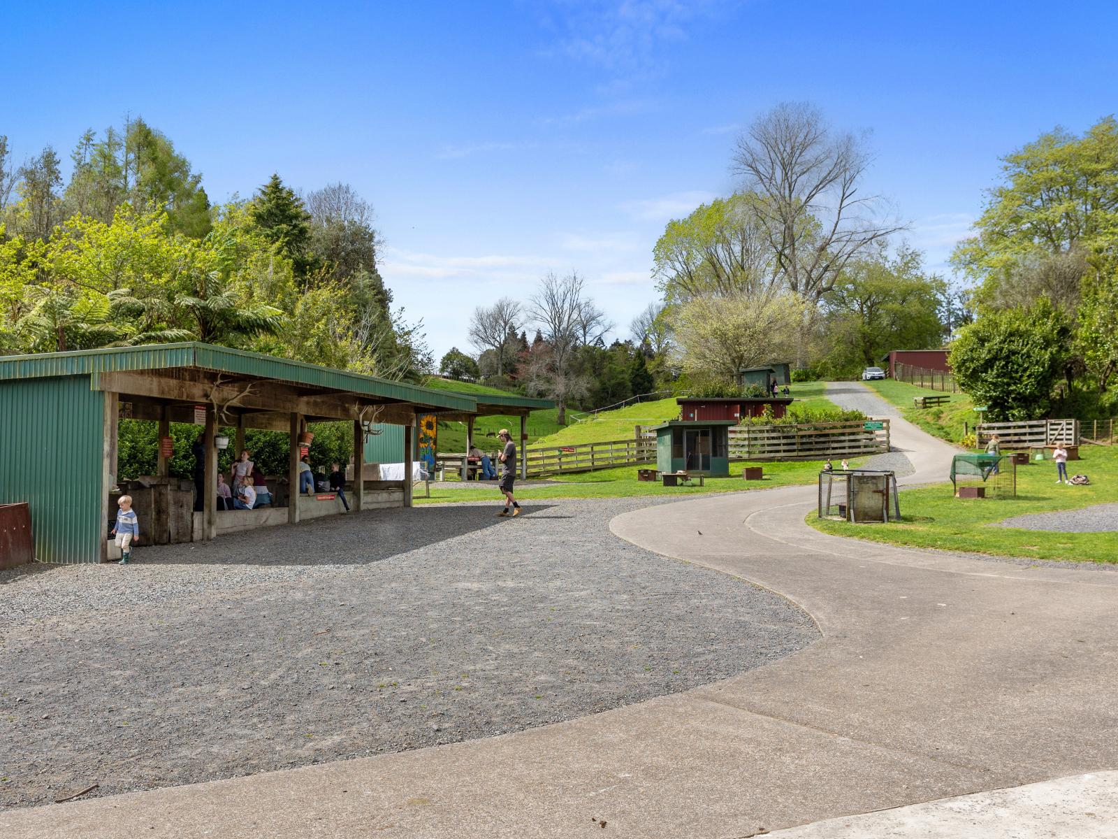 McLaren Falls Road, Omanawa
