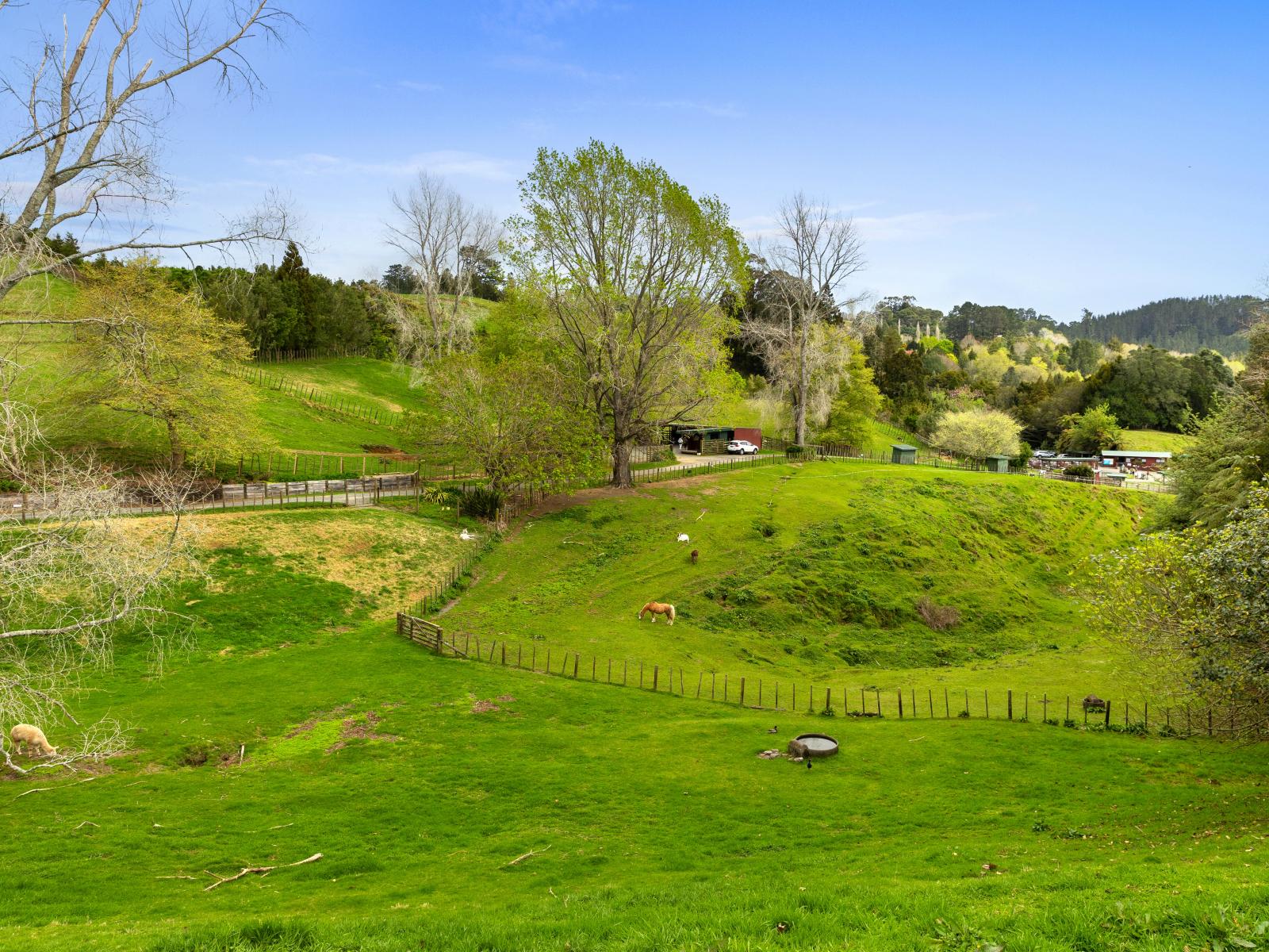 McLaren Falls Road, Omanawa