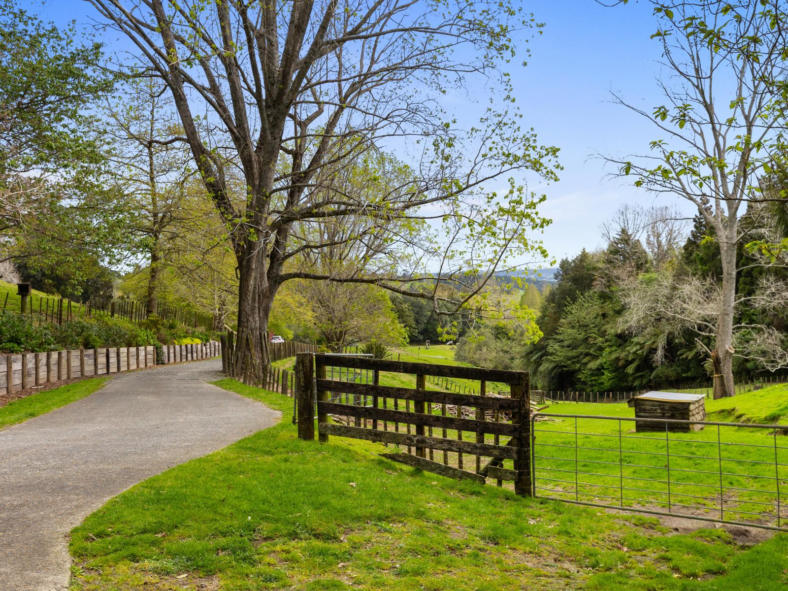 McLaren Falls Road, Omanawa