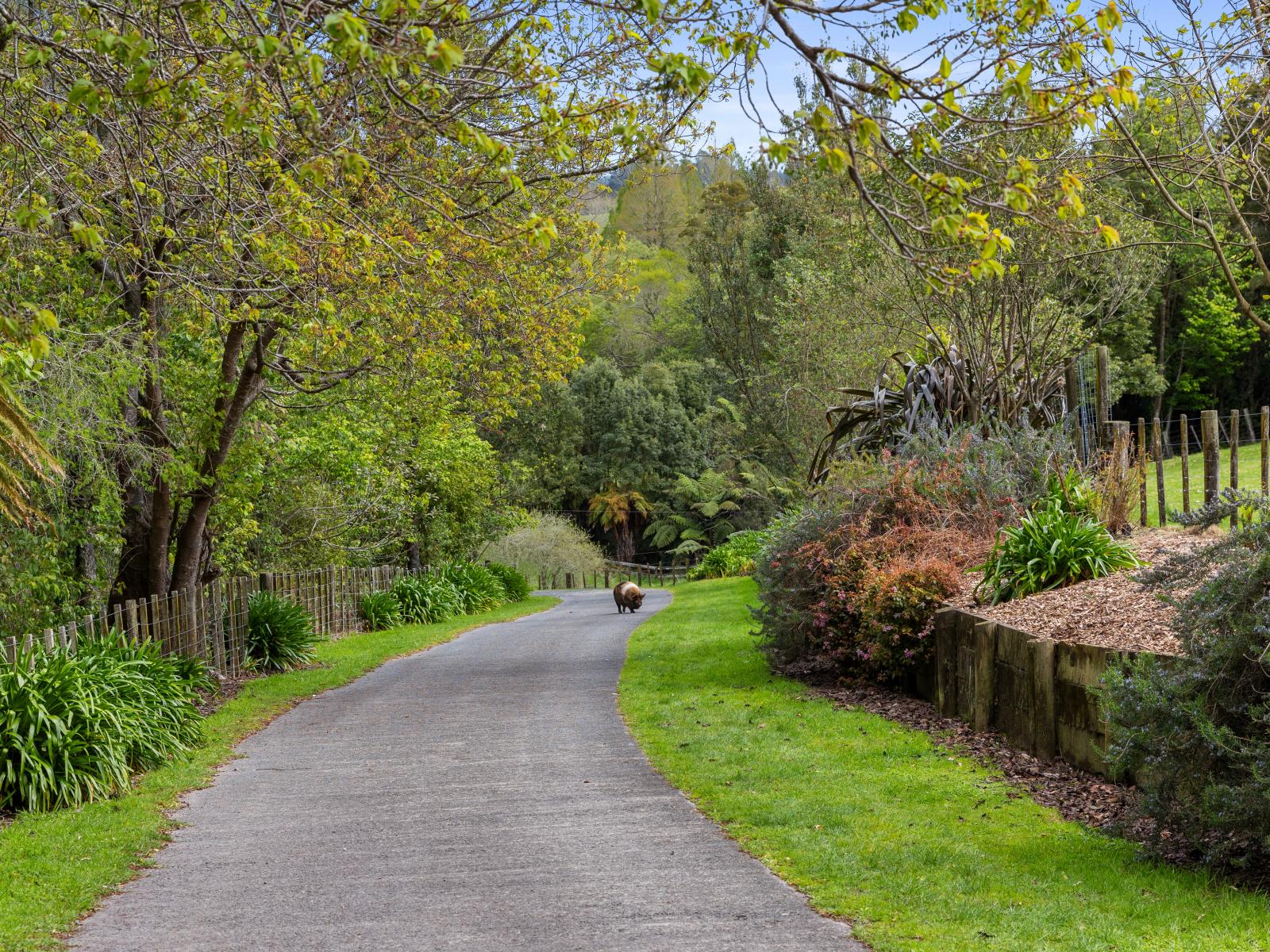 McLaren Falls Road, Omanawa