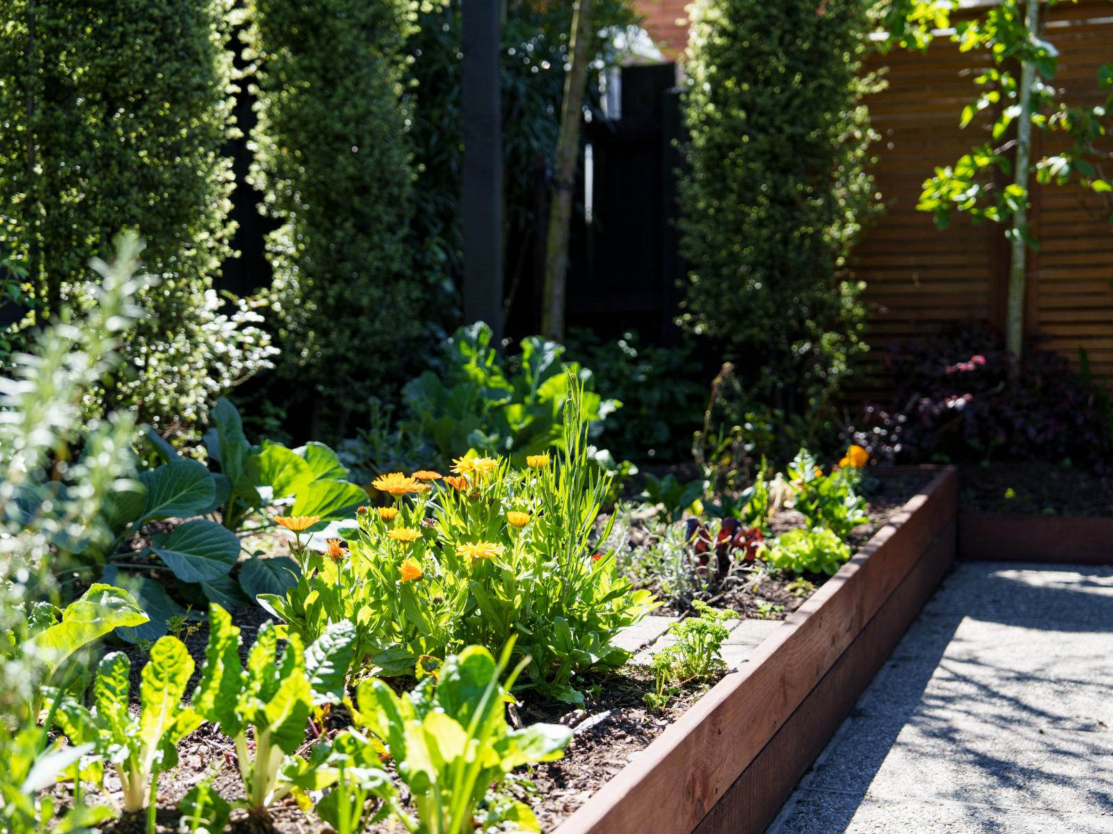 2 Kent Place, Mosgiel