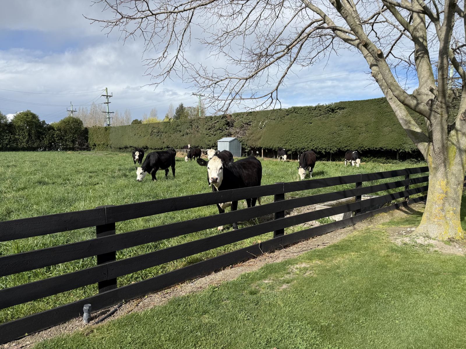 82 Gartartan Road, Tinwald