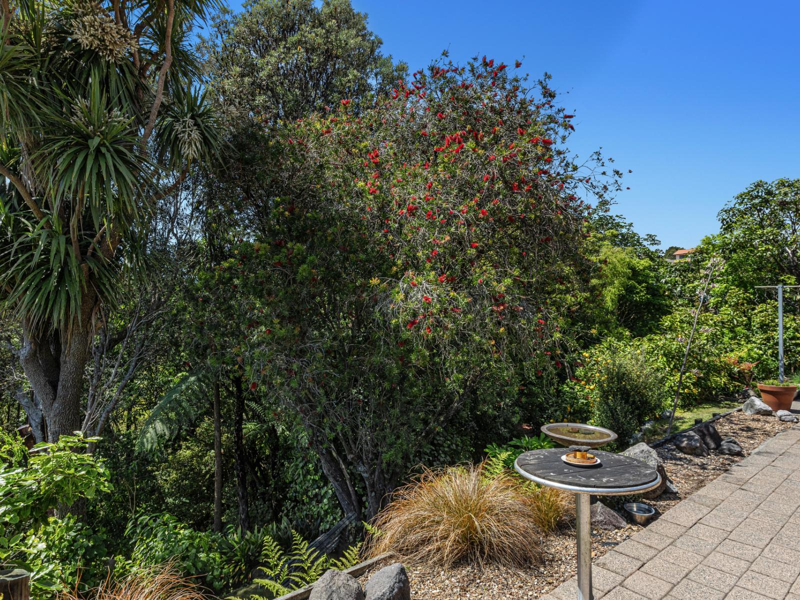 63 Waiewe Street, Whakatane