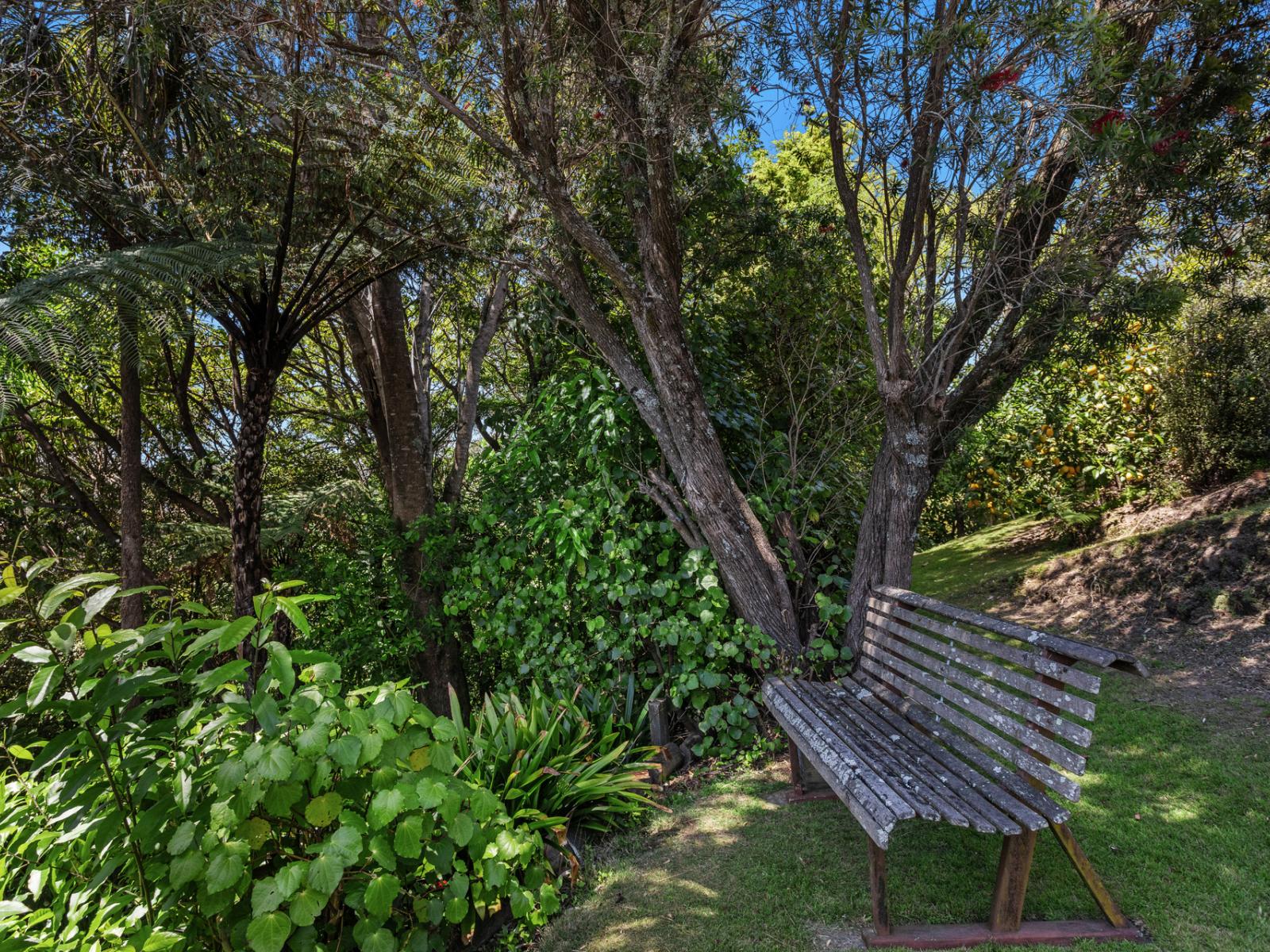 63 Waiewe Street, Whakatane