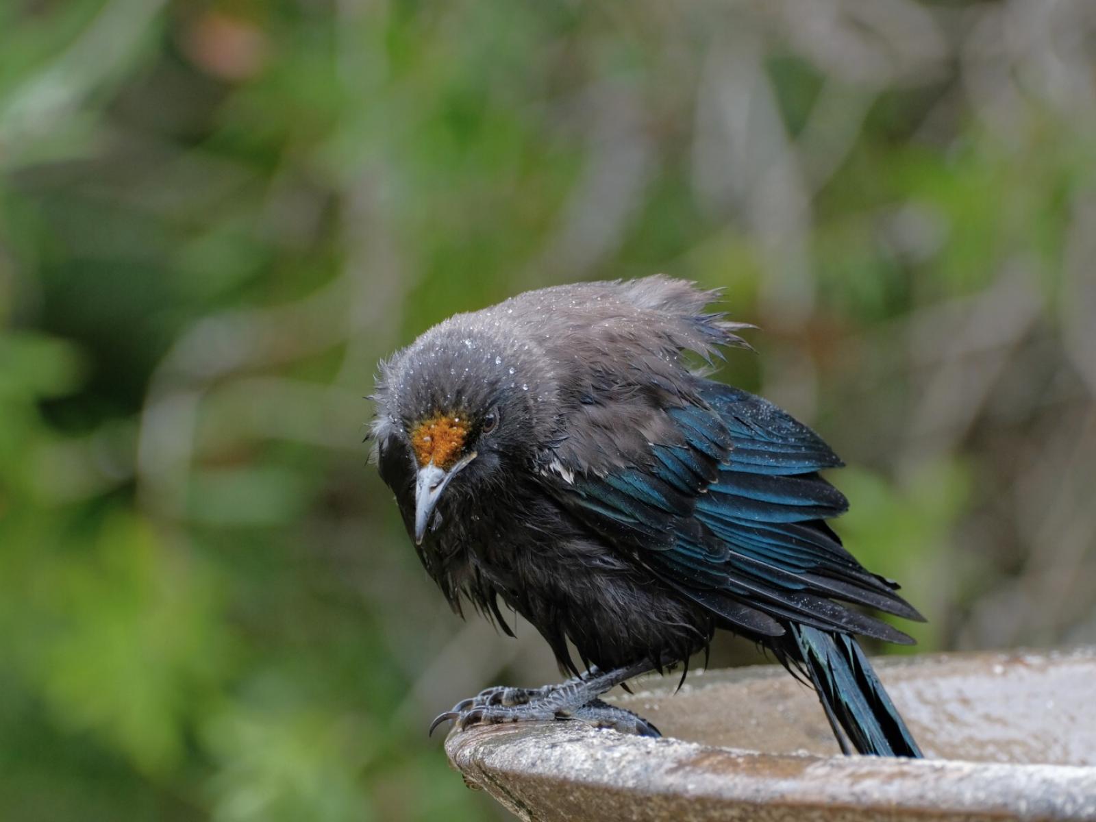 63 Waiewe Street, Whakatane