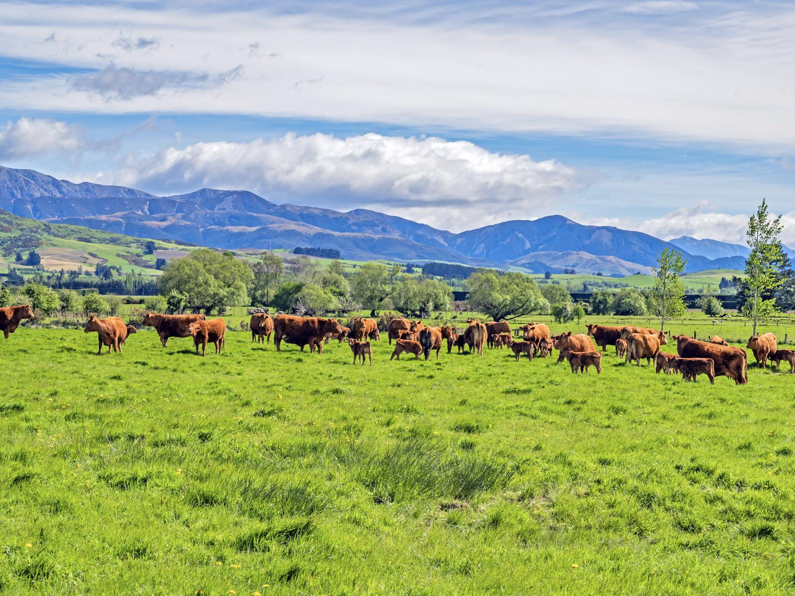 677 Pig Saddle Road, Sheffield