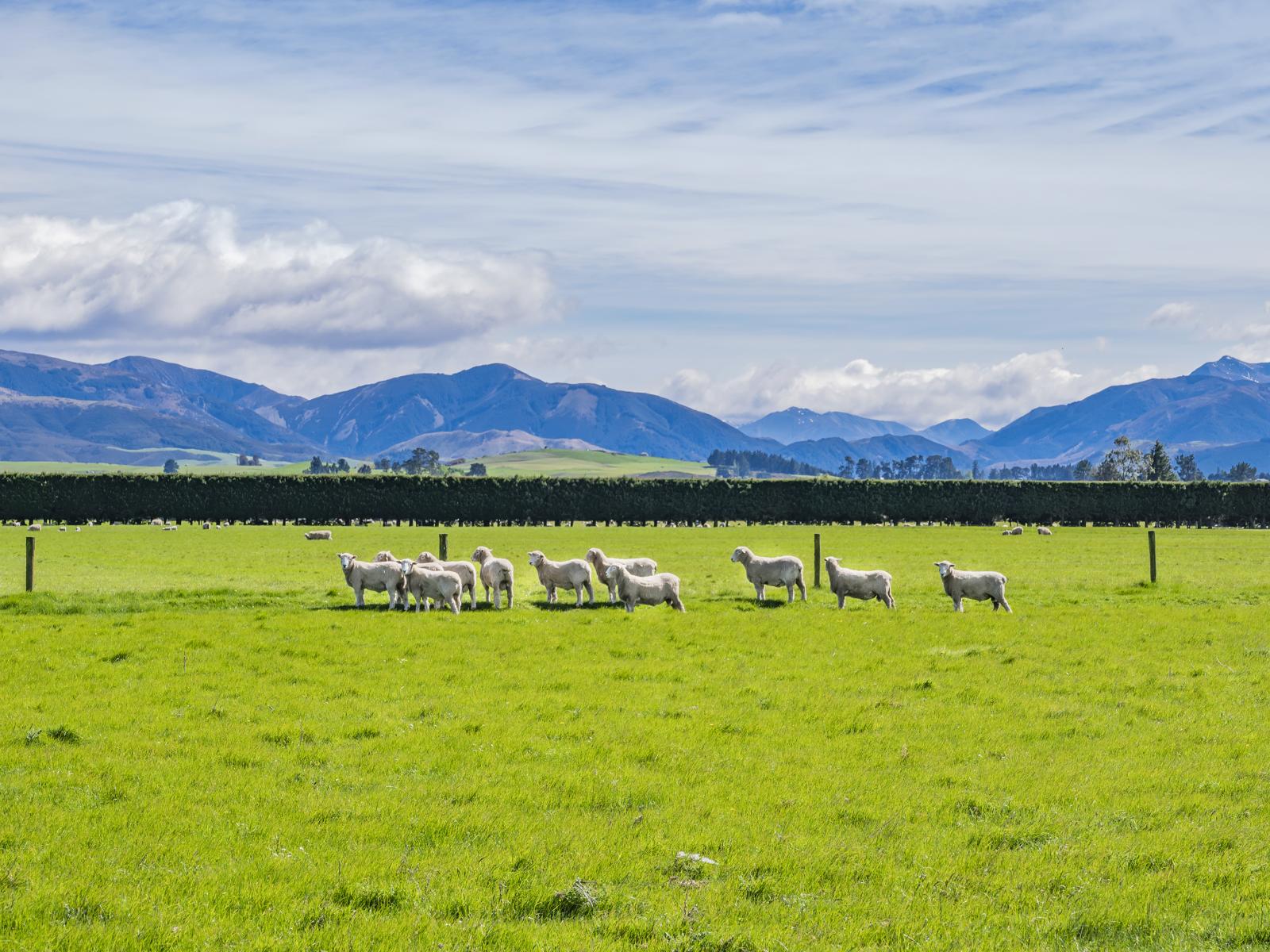 677 Pig Saddle Road, Sheffield