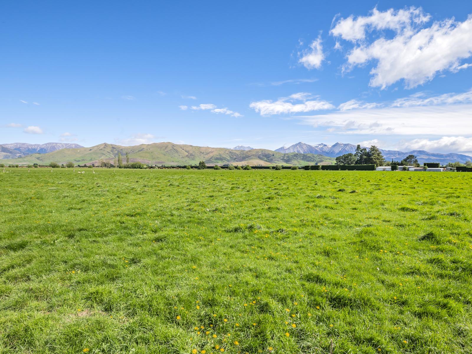 677 Pig Saddle Road, Sheffield