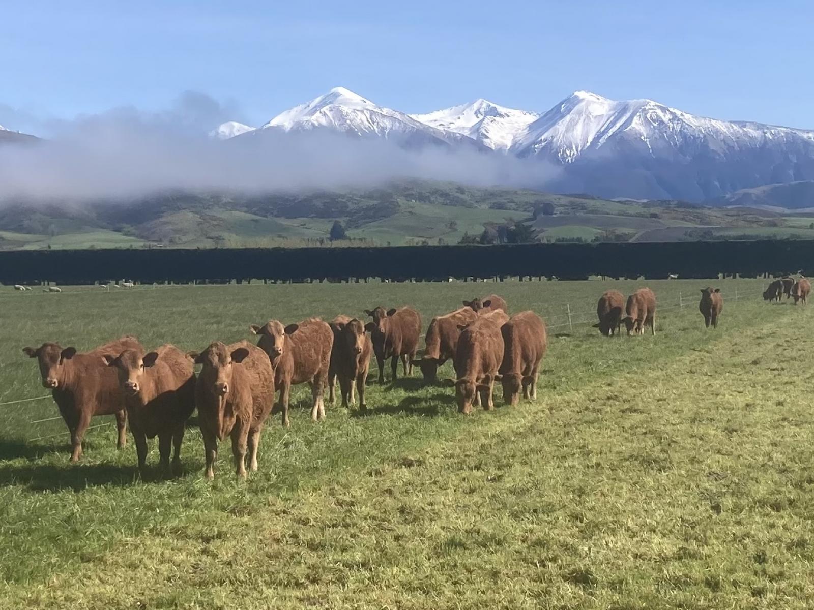 677 Pig Saddle Road, Sheffield