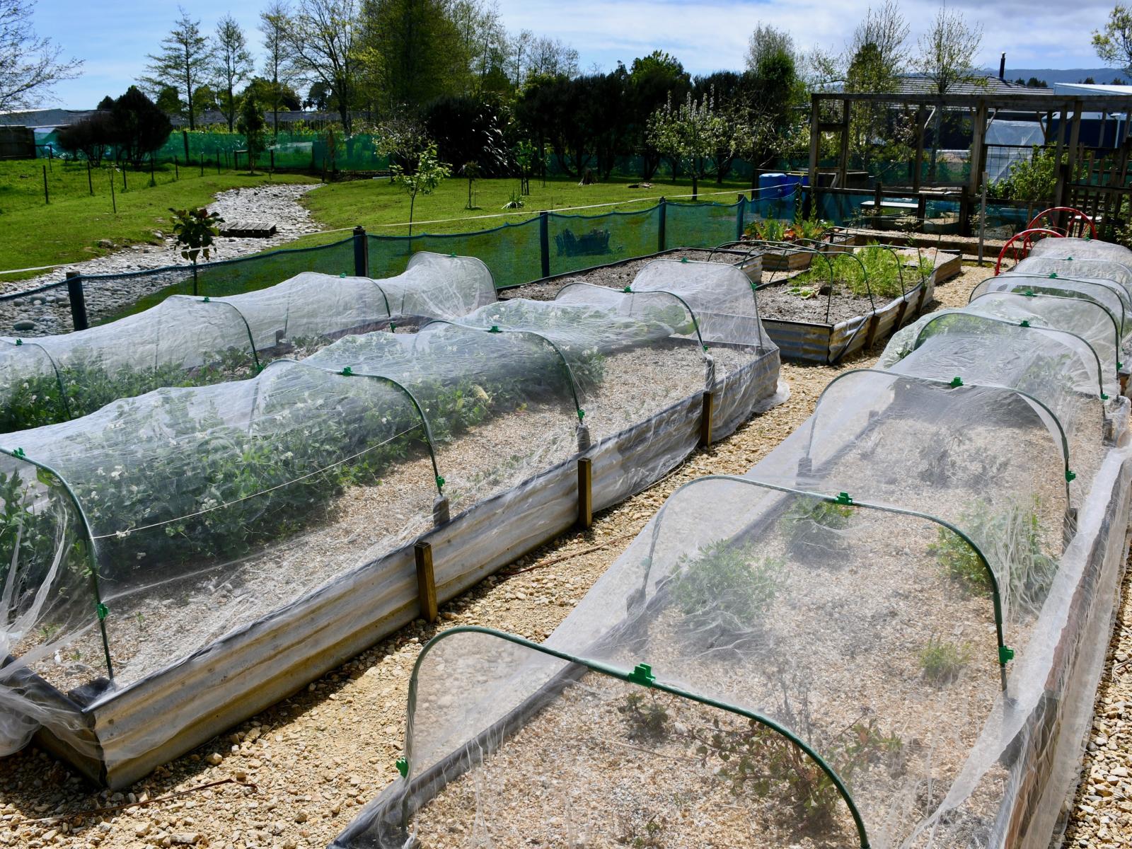 131 Oparara Road, Karamea