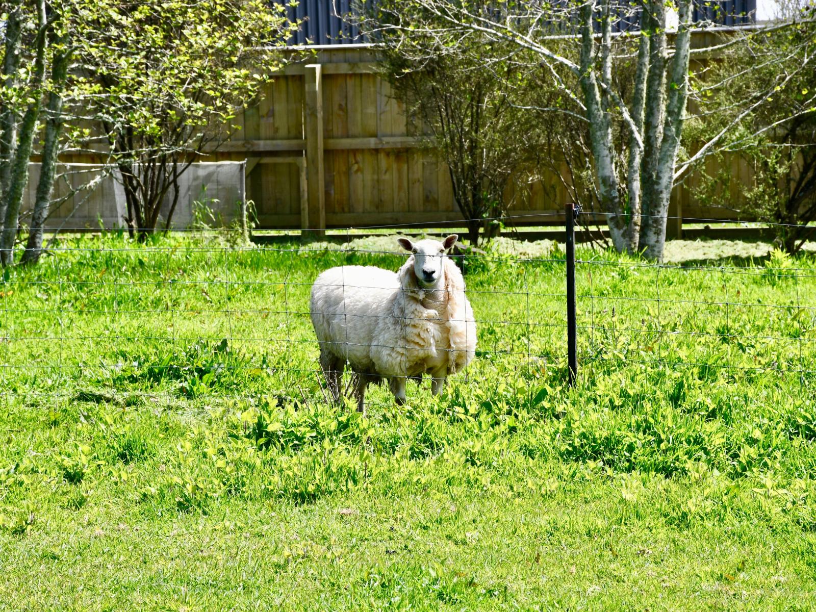 131 Oparara Road, Karamea