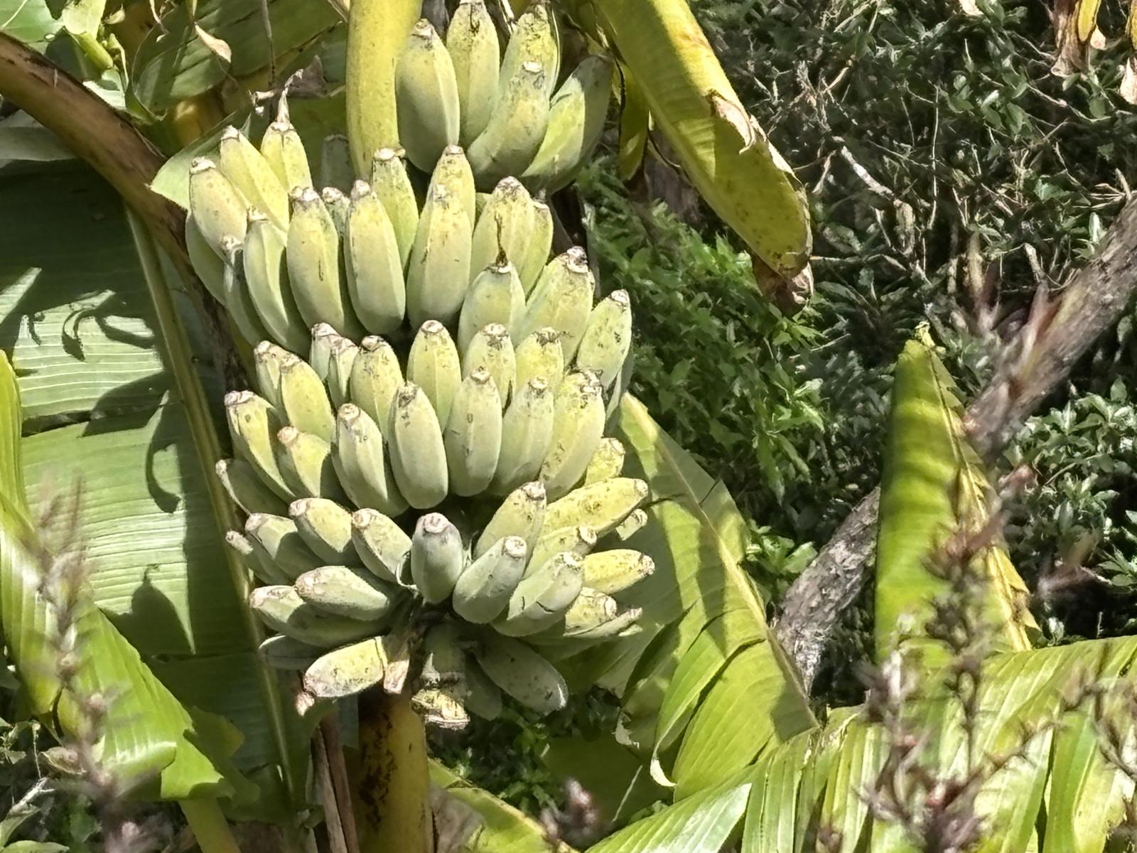 965 Te Waitere Road, Waitomo
