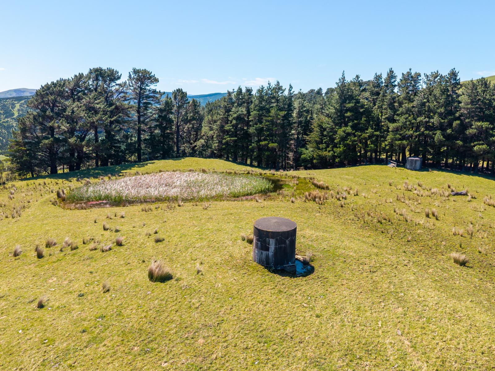 495 Towai Road, Waione