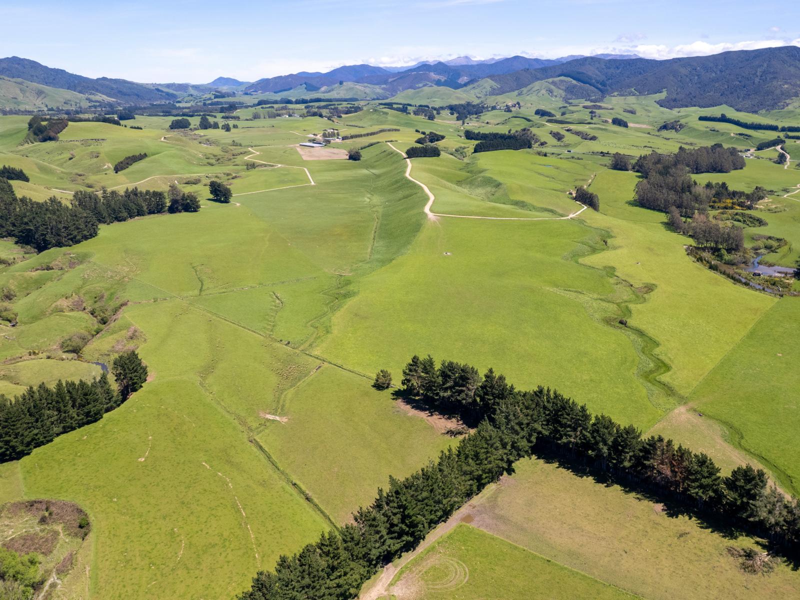 184 South Road No 2, Eketahuna