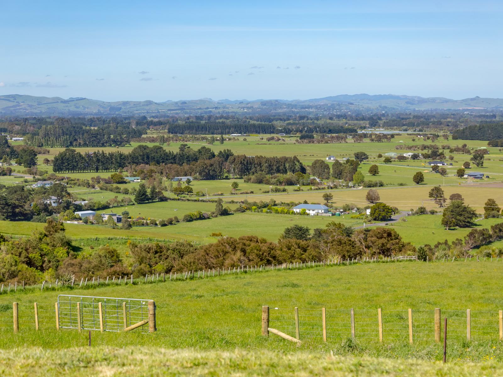 91 Chester Park Drive, West Taratahi