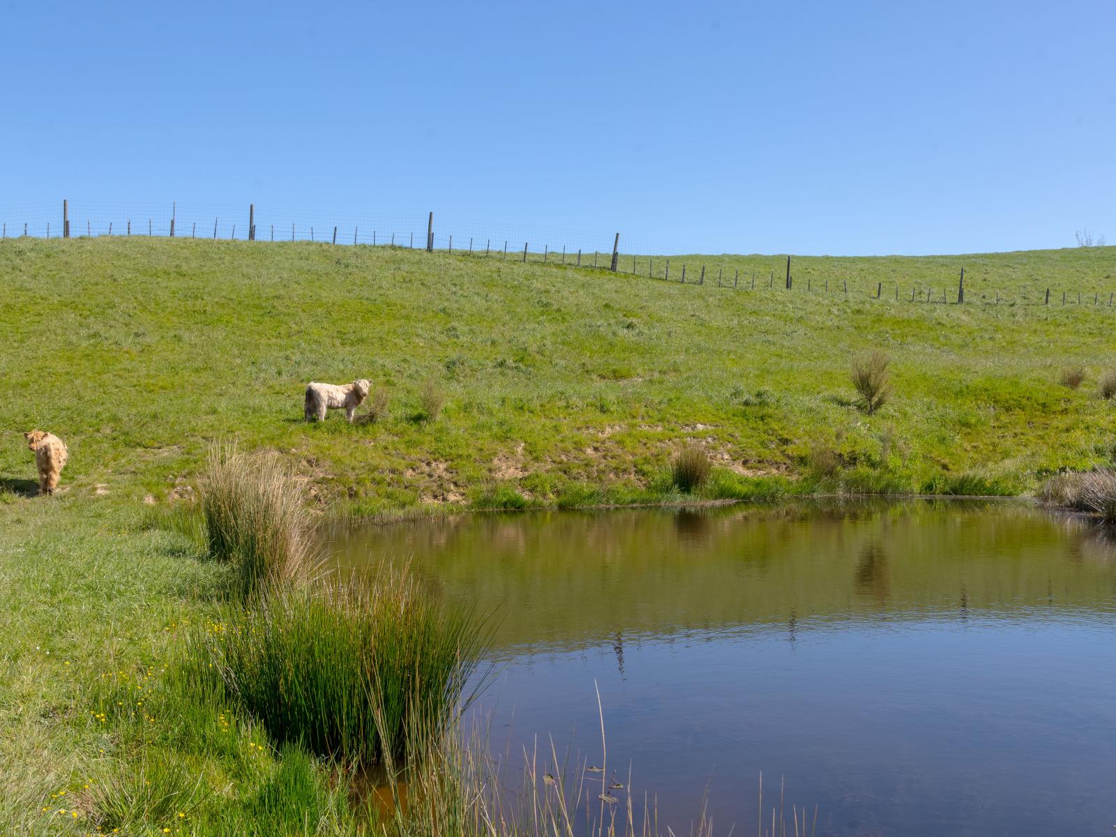 91 Chester Park Drive, West Taratahi