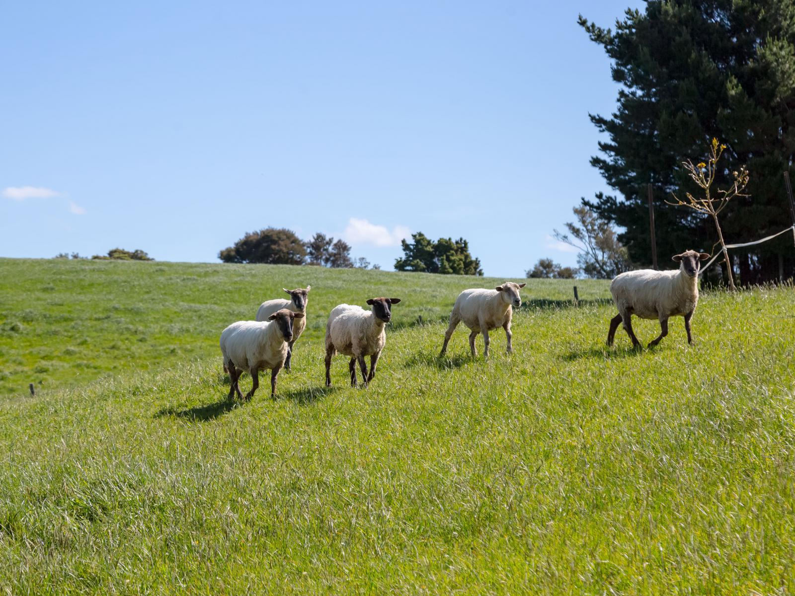 91 Chester Park Drive, West Taratahi