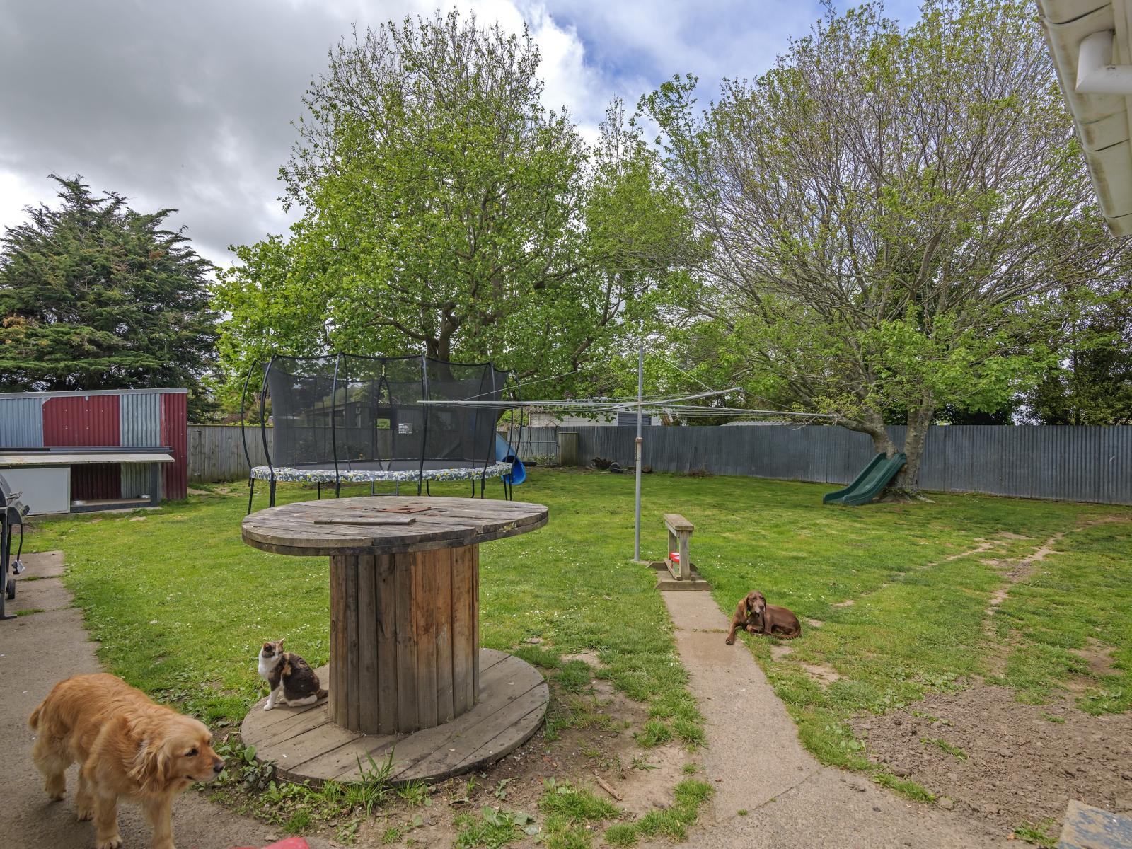 176 Bridge Street, Bulls