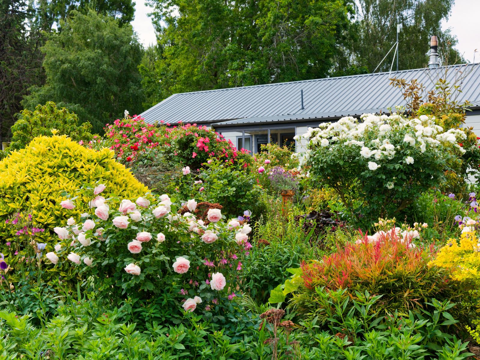 257 Waiau West Road, Cheviot