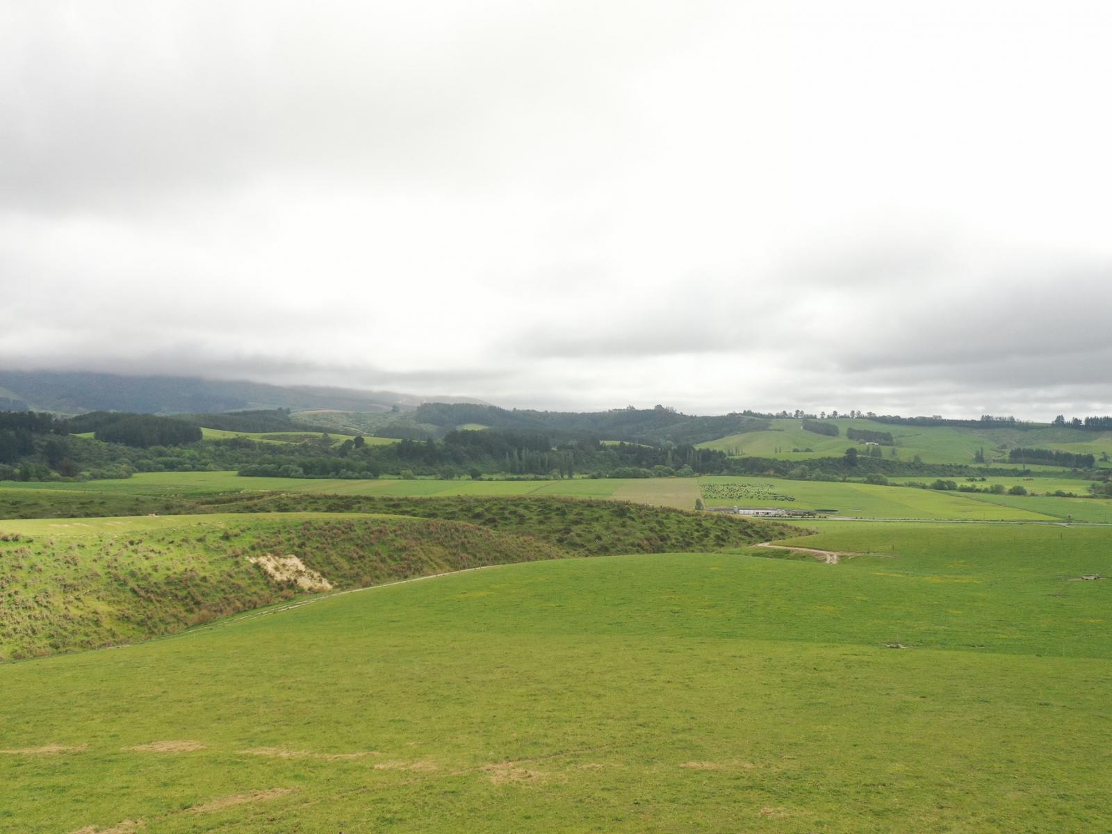 1159 Winchester Hanging Rock Road, Kakahu