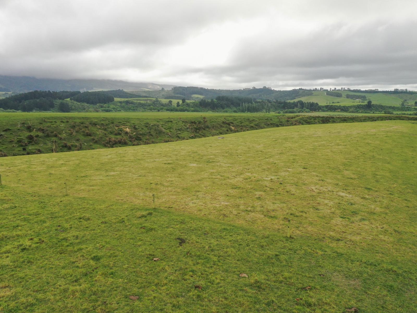 1159 Winchester Hanging Rock Road, Kakahu