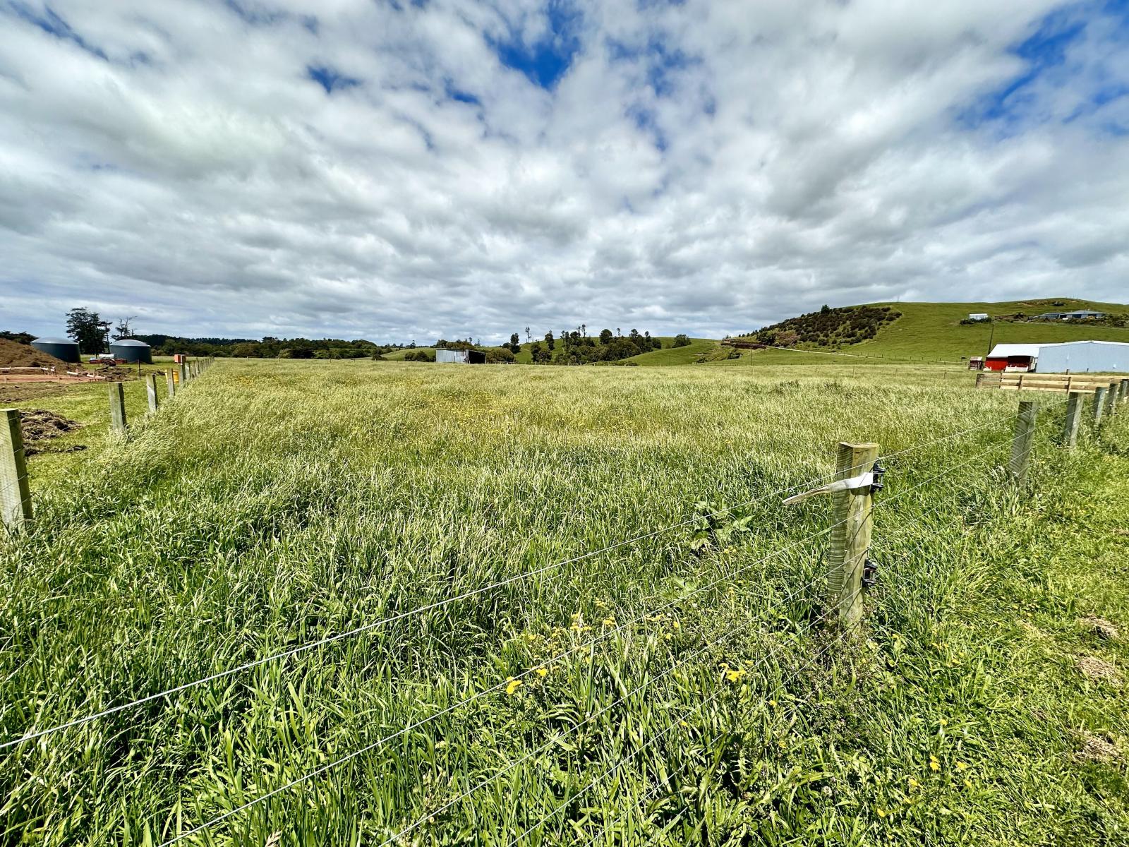 Lot 4 Ngatimaru Road, Tikorangi