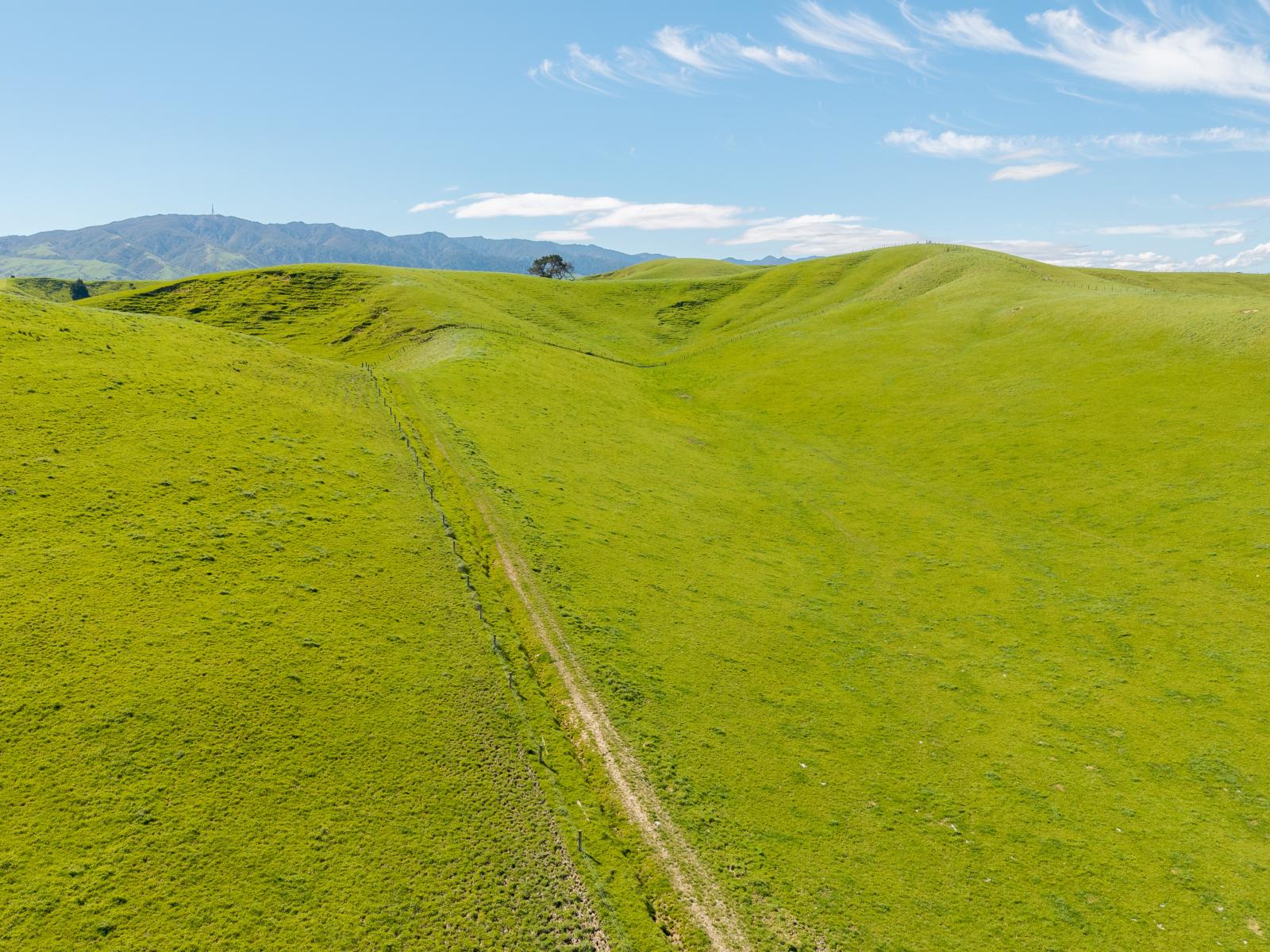 State Highway 2, Woodville