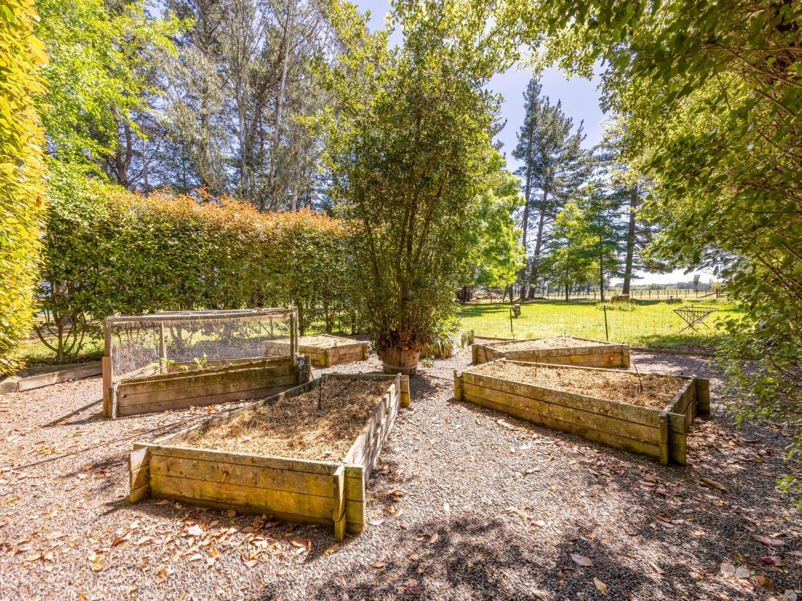 5 Sydney Street, Takapau