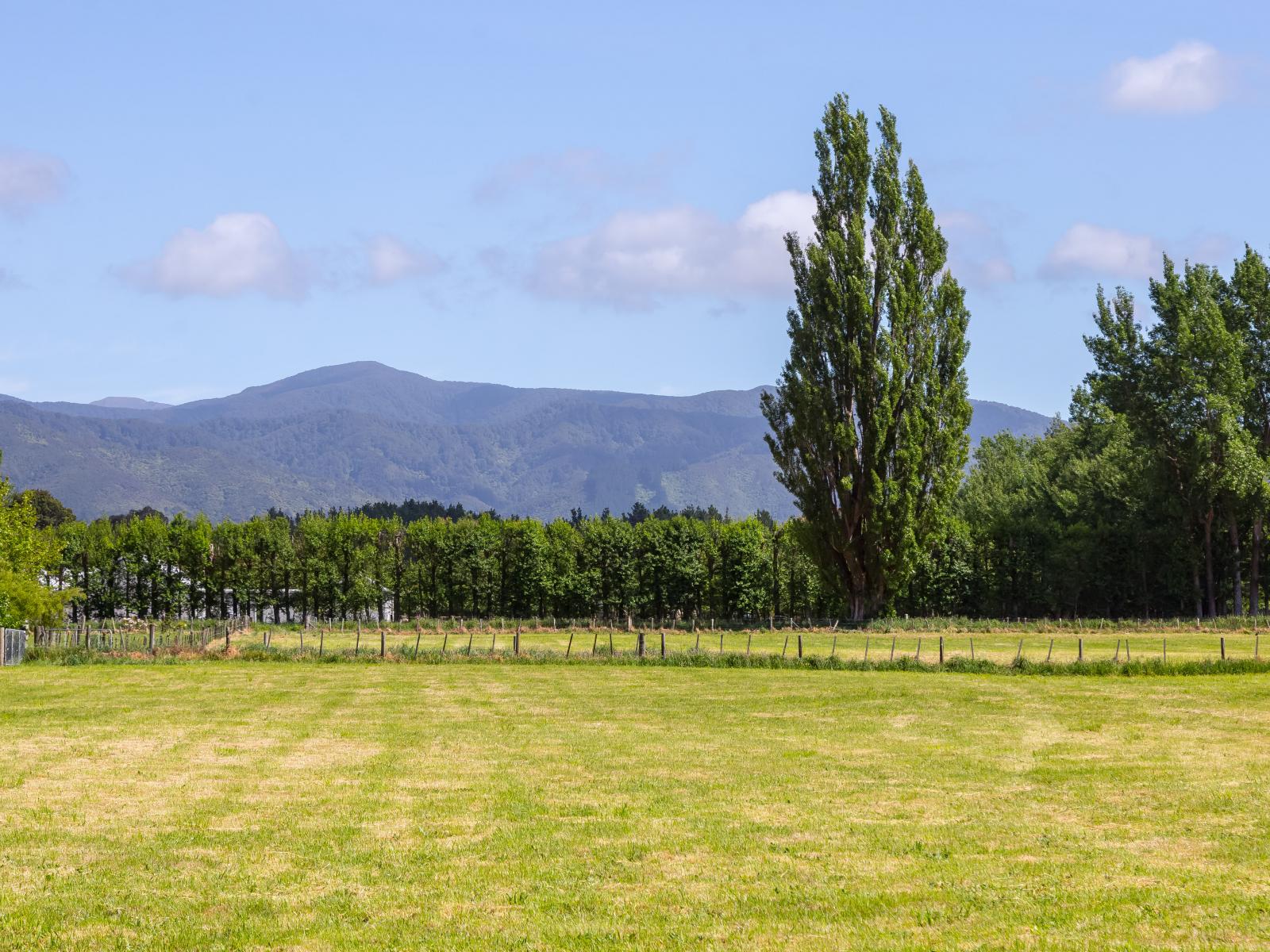 228B Wood Street, Greytown