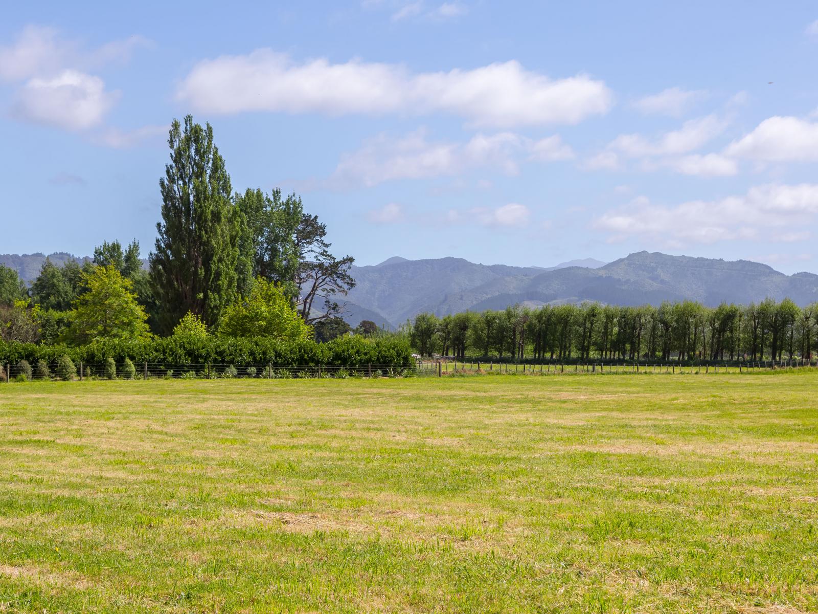 228B Wood Street, Greytown