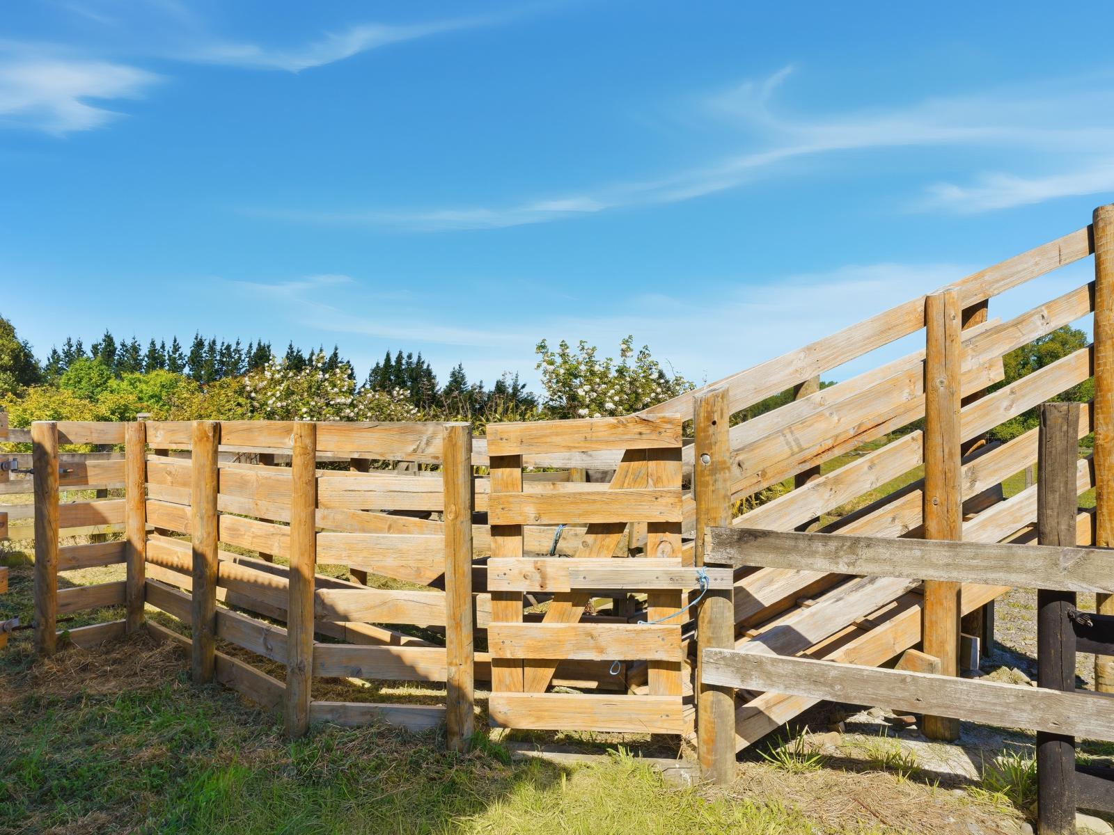 99 Lower Sefton Road, Ashley